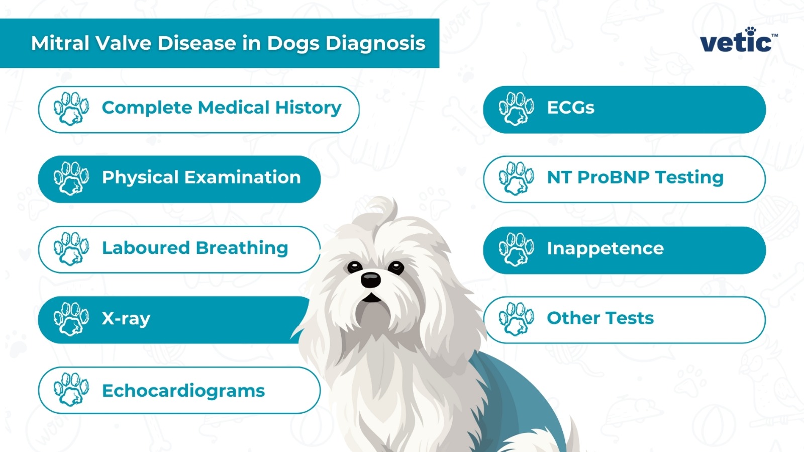 Mitral Valve Disease in Dogs Diagnosis - as presented by vetic™ Complete Medical History Physical Examination Laboured Breathing X-ray Echocardiograms ECGs NT ProBNP Testing
