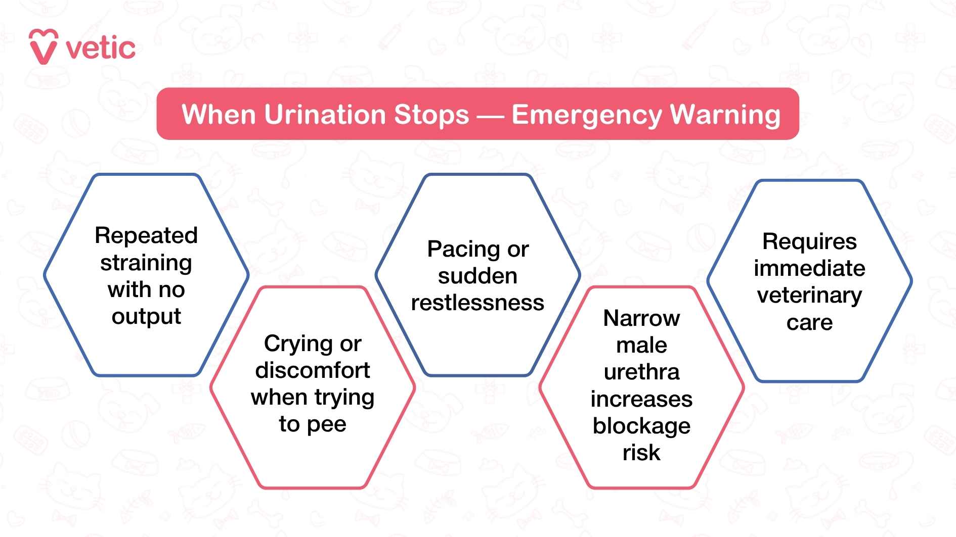 Image showing emergency warning signs when urination stops in pets. The image has a pink and white color scheme with faint pet-related illustrations in the background. The main text in a red box reads 'When Urination Stops — Emergency Warning.' Below are five hexagonal bullet points: 'Repeated straining with no output,' 'Pacing or sudden restlessness,' 'Crying or discomfort when trying to pee,' 'Narrow male urethra increases blockage risk,' and 'Requires immediate veterinary care.