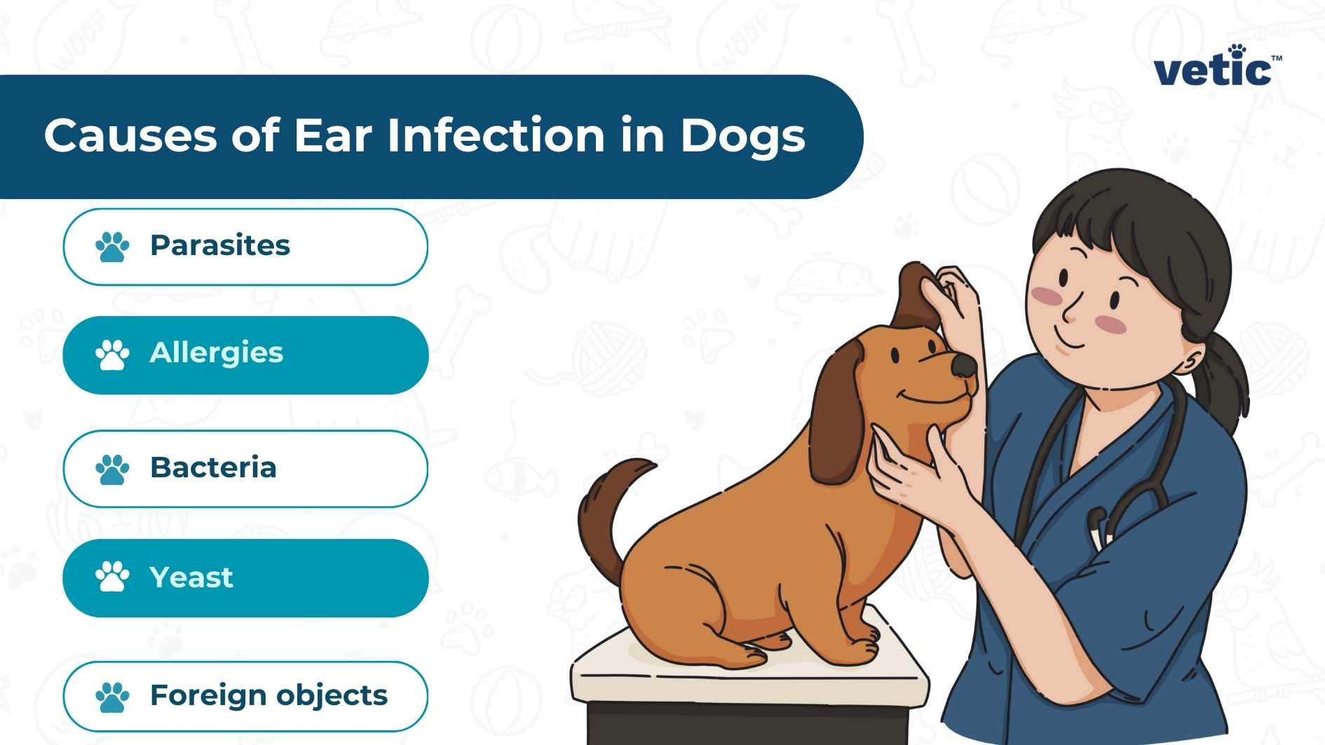 Causes of Ear Infection in Dogs” with a list of causes and an illustration of a vet examining a dog. The image by vetic serves as an educational resource outlining the common causes of ear infections in dogs. It features a clear, easy-to-read list including parasites, allergies, bacteria, yeast, and foreign objects alongside an engaging illustration of a vet gently examining a dog’s ear.