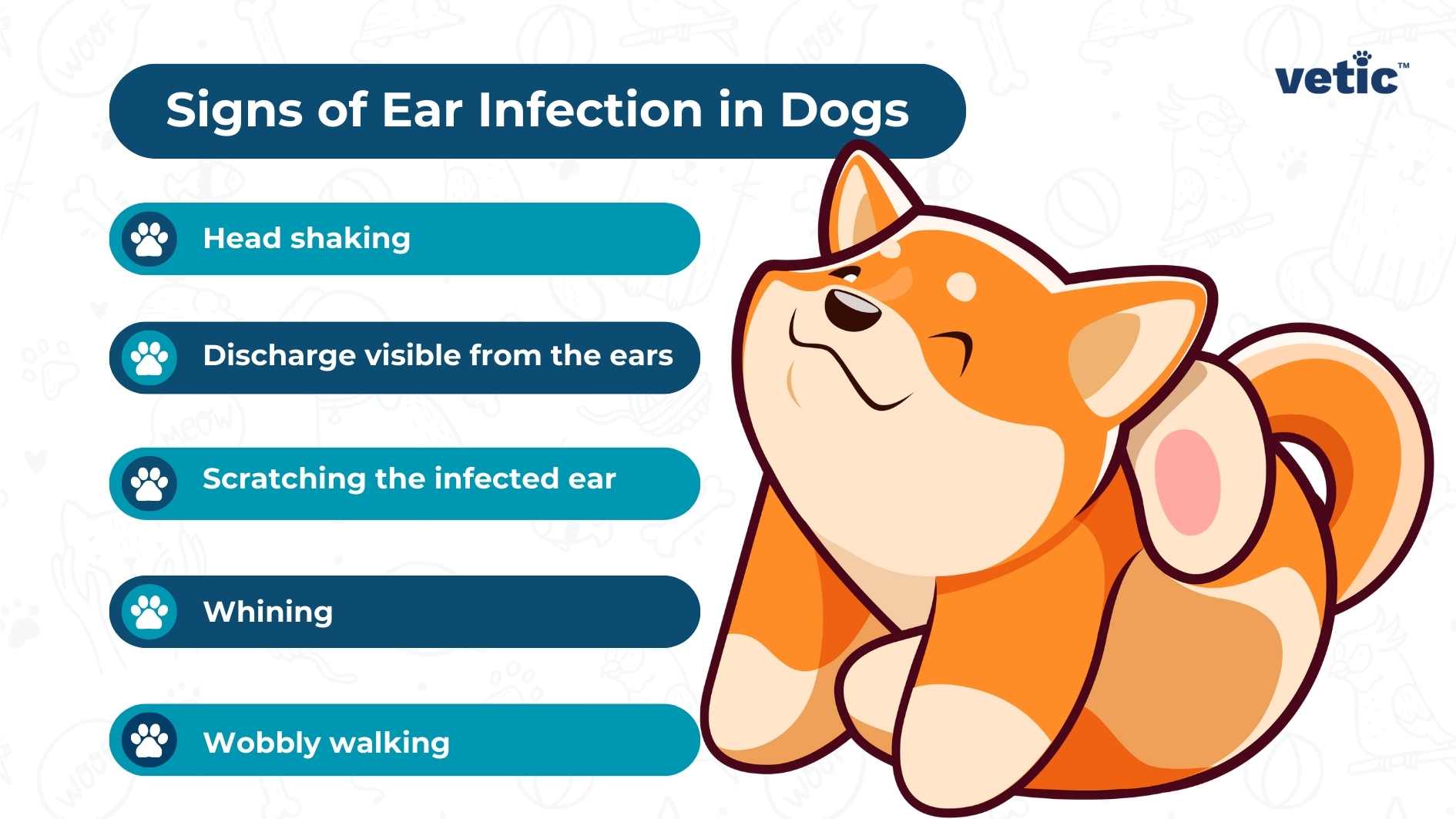Infographic image by Vetic on the signs of ear infection in dogs, including head shaking, visible ear discharge, scratching the infected ear, whining, and wobbly walking.