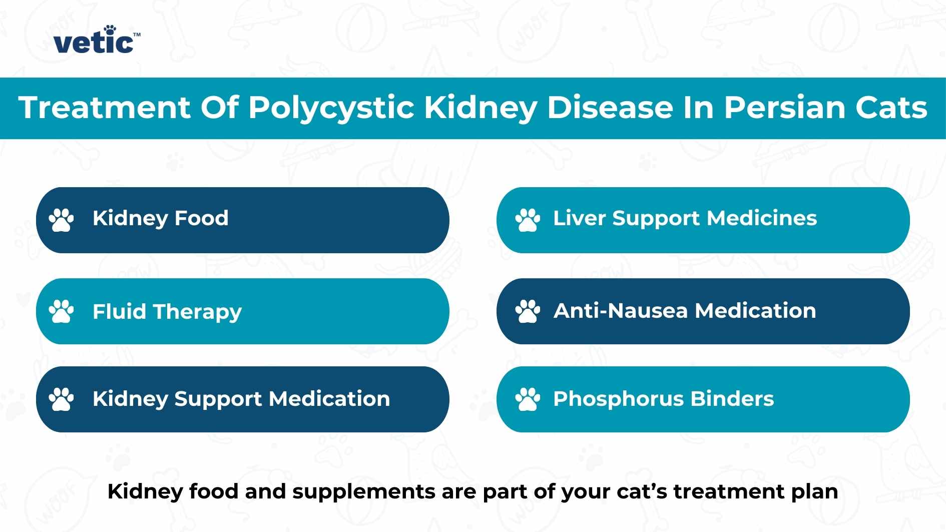 Treatment Of Polycystic Kidney Disease In Persian Cats Kidney Food Liver Support Medicines Fluid Therapy Anti-Nausea Medication Kidney Support Medication Phosphorus Binders Kidney food and supplements are part of your cat’s treatment plan