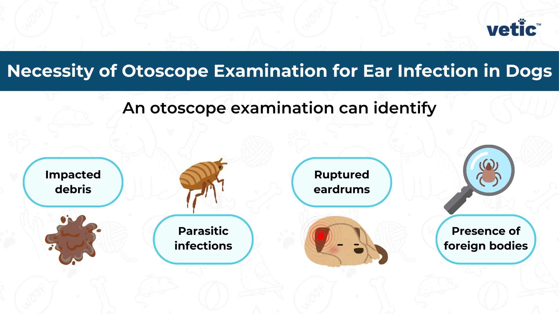 An informative image from vetiC detailing the necessity of otoscope examination for identifying ear infections in dogs, showcasing various conditions like impacted debris, parasitic infections, ruptured eardrums, and presence of foreign bodies.
