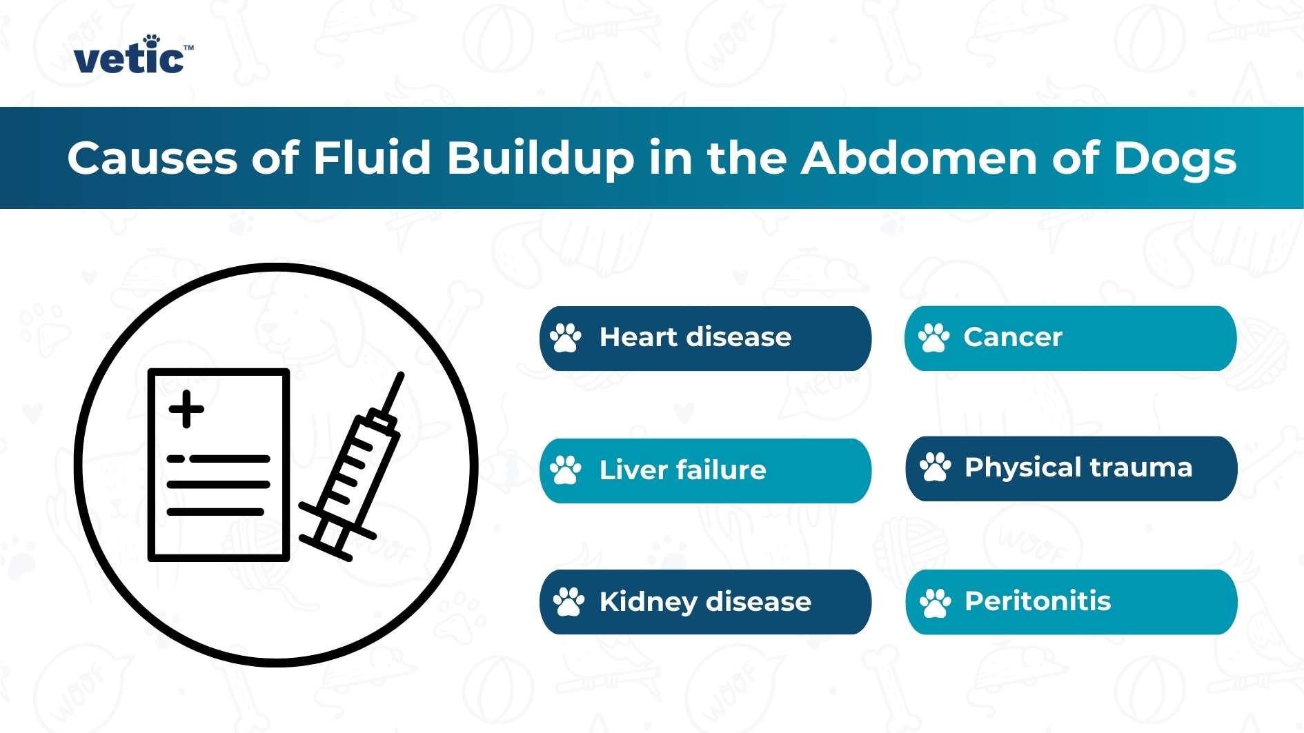 An informational image by Vetic showing the causes of fluid buildup in the abdomen of dogs, including heart disease, cancer, liver failure, physical trauma, kidney disease, and peritonitis.