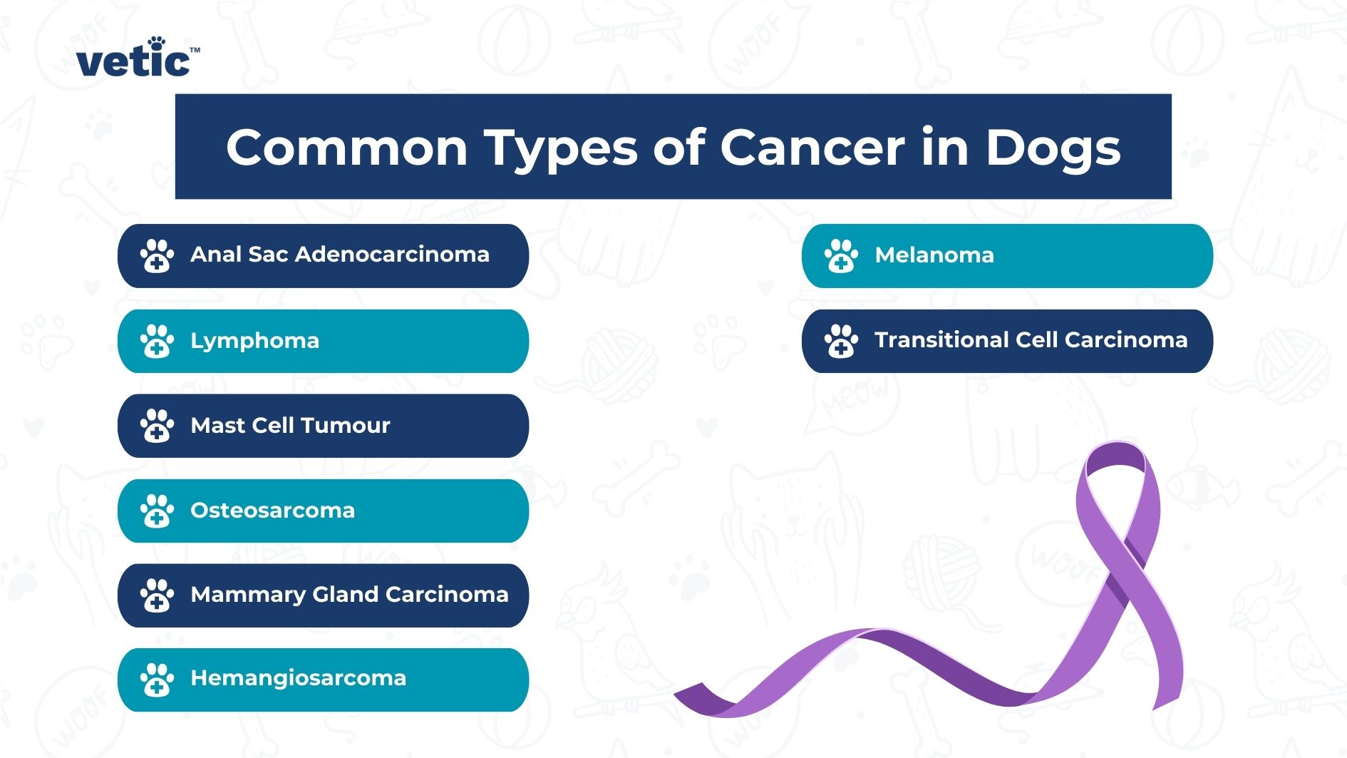 Infographic listing common types of cancer in dogs including Anal Sac Adenocarcinoma, Lymphoma, Mast Cell Tumour, Osteosarcoma, Mammary Gland Carcinoma, Hemangiosarcoma, Melanoma and Transitional Cell Carcinoma. The Vetic logo is visible at the top left corner and a purple ribbon symbolizing cancer awareness is at the bottom right.