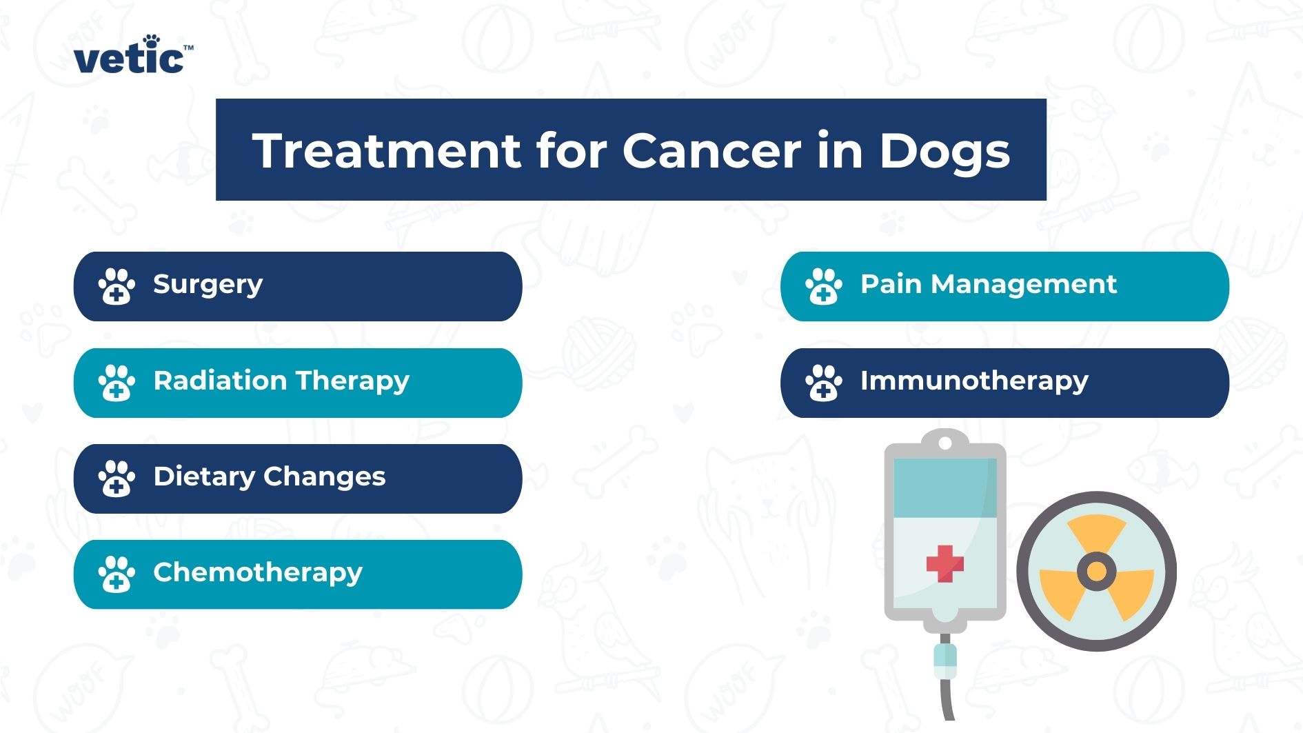 Vetic infographic on Treatment for Cancer in Dogs including Surgery, Radiation Therapy, Dietary Changes, Chemotherapy, Pain Management, and Immunotherapy with icons representing each treatment method.