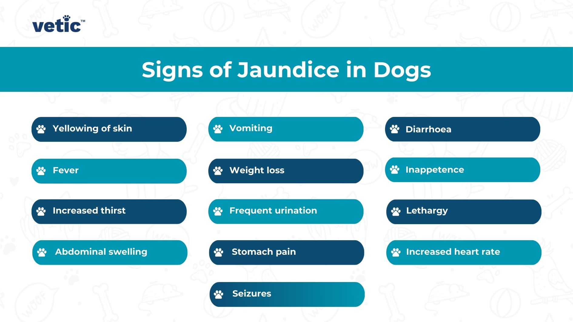 The image is a visual guide created by “Vetic®” that outlines the “Signs of Jaundice in Dogs”. It features a light blue background with faint illustrations of various dog breeds. The title “Signs of Jaundice in Dogs” is prominently displayed at the top. Below the title are twelve symptoms listed on dark blue tabs: Yellowing of skin, Vomiting, Diarrhoea, Fever, Weight loss, Inappetence, Increased thirst, Frequent urination, Lethargy, Abdominal swelling, Stomach pain, Increased heart rate, and Seizures. Each symptom tab has an icon to its left representing the specific symptom visually.