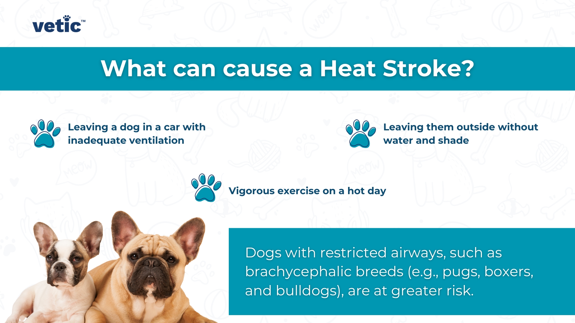 Causes of Heatstroke in dogs by Vetic Pet Clinic. Causes include exposure to the direct sun and heat, exercising outdoors in the sun, staying outdoors without water and shade, and staying in the car without adequate air cooling and ventilation.