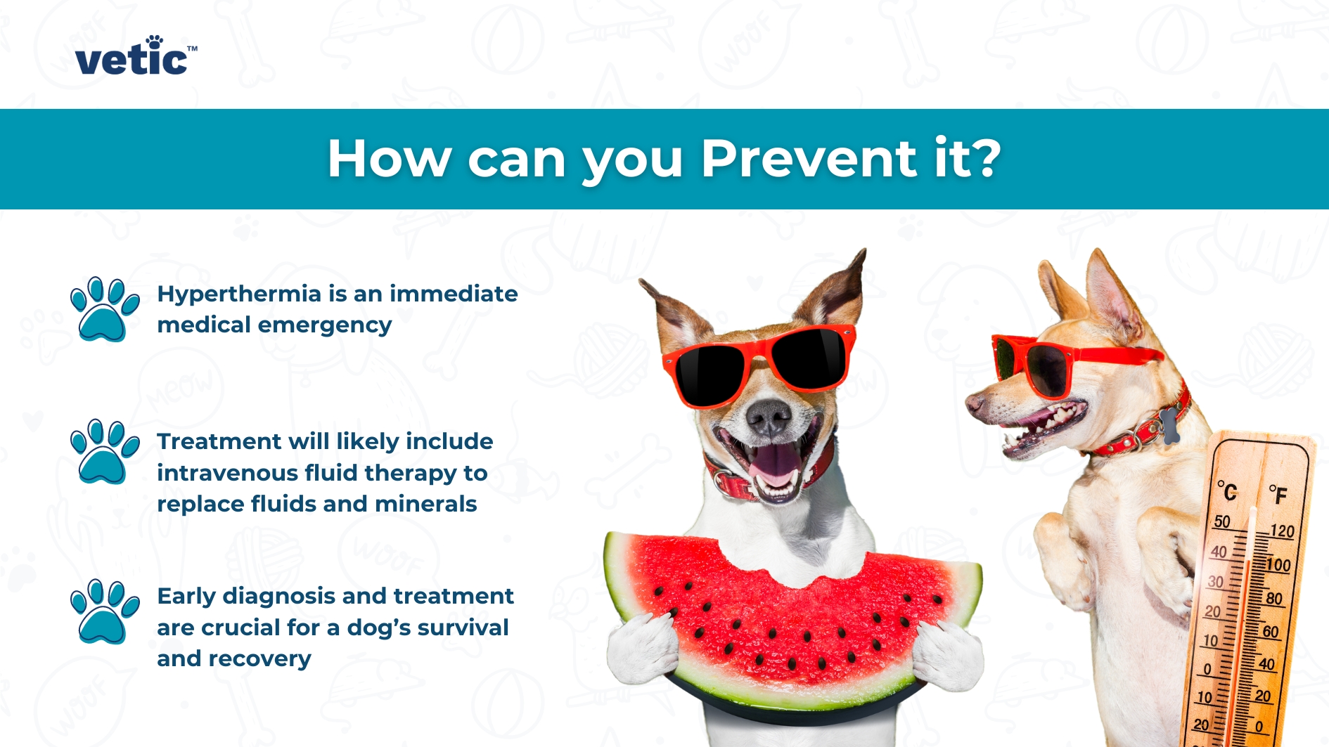 Daily Tips to Prevent Heatstroke in Dogs: Hyperthermia or temperature over 106-degrees Fahrenheit in dogs and cats is always an emergency. Treatment of heatstroke in dogs include fluid therapy. Earliest diagnosis and treatment can save your dog's life.