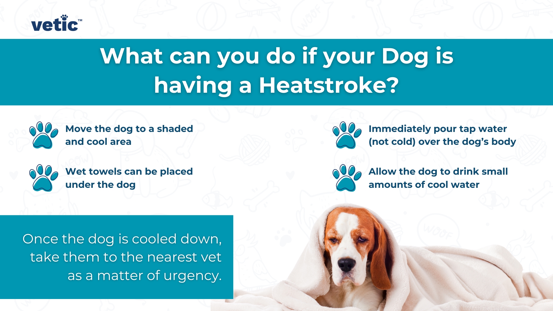 heat stroke in dogs treatment at home: Heatstroke First Aid For Dogs - move the dog to a shade, pour cool but not cold water all over the dog's body, allow small sips of cool water. Once the dog is stable move them to the nearest veterinary clinic for heatstroke treatment. Infographic by Vetic.