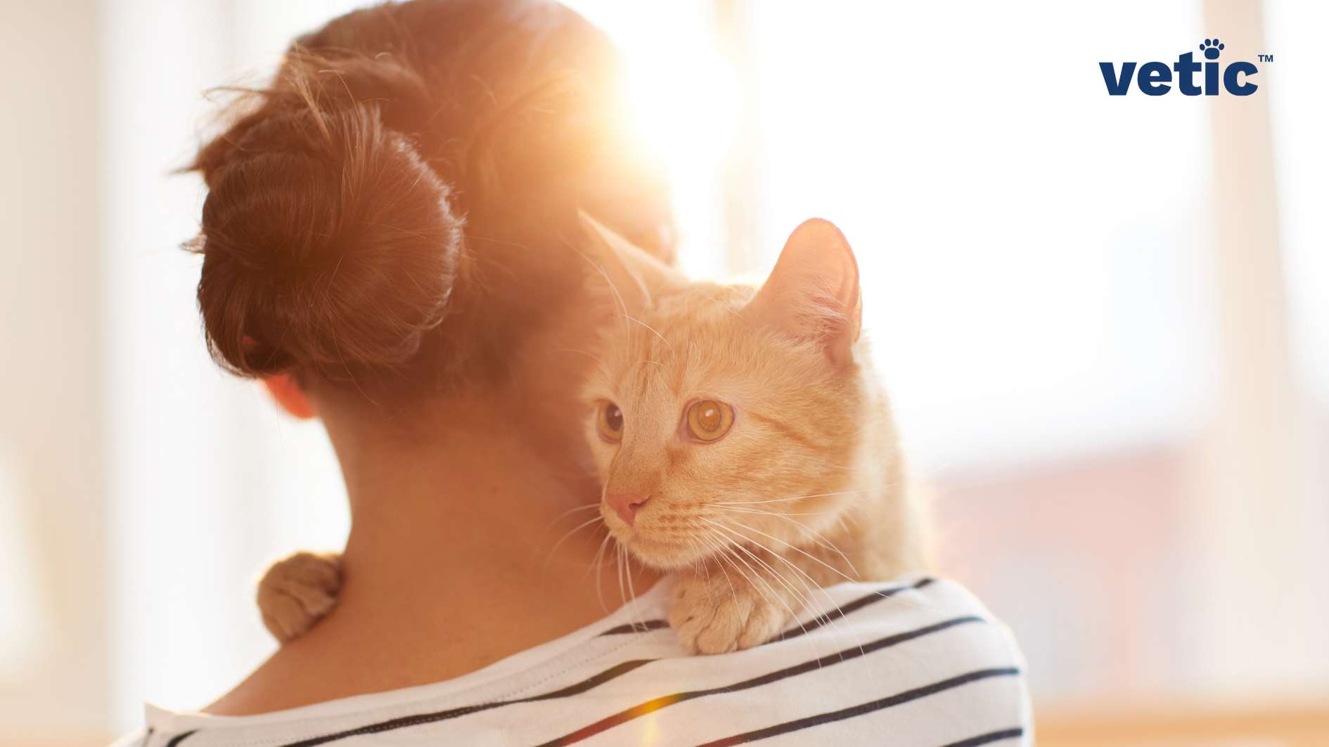 A person holding an orange cat over their shoulder, with the cat looking towards the distance behind the human. Cats have unique love languages. Most cats purr, bunt and rub their cheeks on the pet parents as an expression of love. The image bears the Vetic logo.