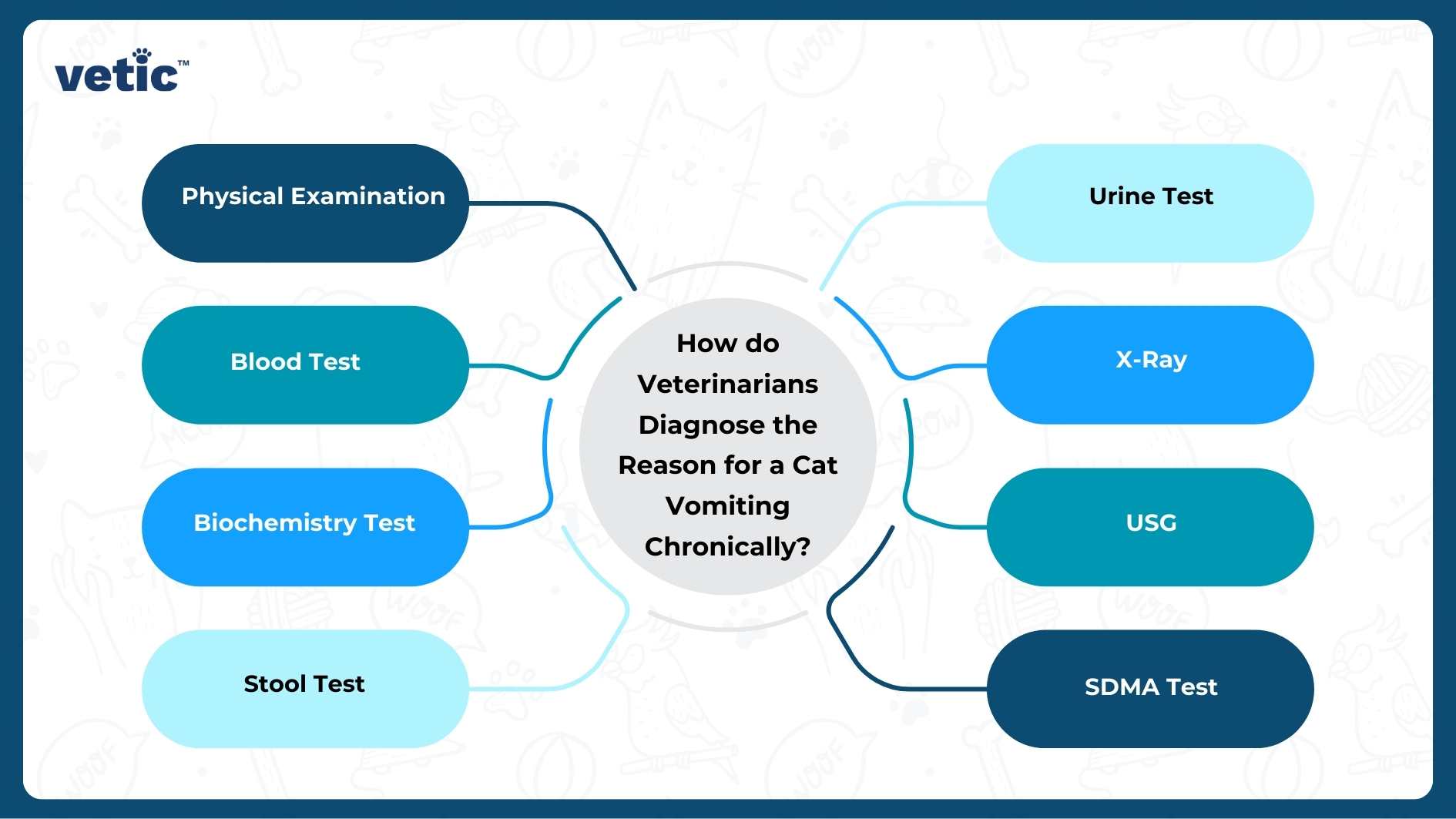 An informative diagram by Vetic titled ‘How do Veterinarians Diagnose the Reason for a Cat Vomiting Chronically?’ with a central question connected to eight surrounding options. These options include Physical Examination, Blood Test, Biochemistry Test, Stool Test, Urine Test, X-Ray, USG (Ultrasound), and SDMA Test.