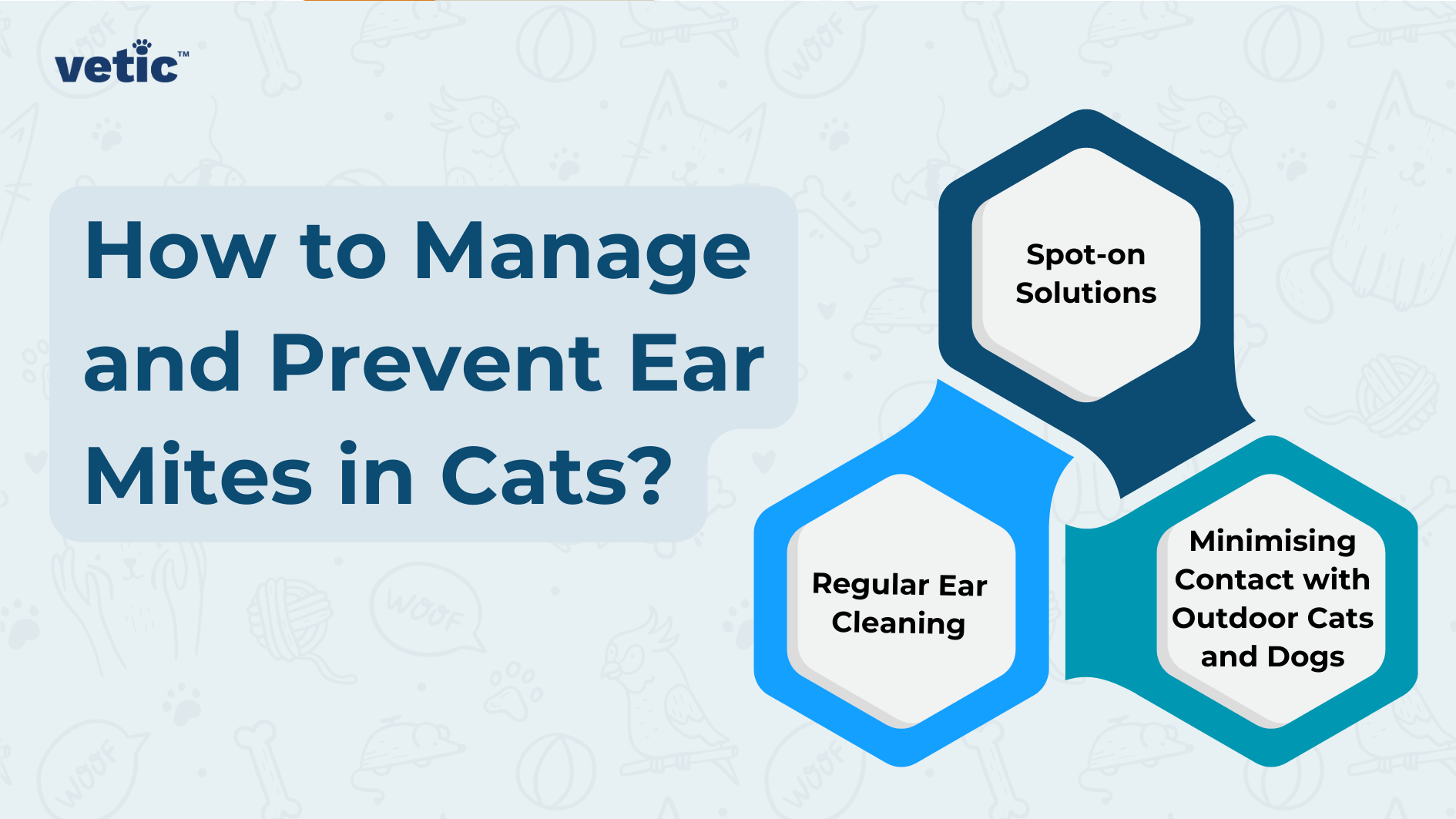 The image by Vetic features an informative graphic titled “How to Manage and Prevent Ear Mites in Cats?” from ‘vetic’. It includes three hexagonal icons, each representing a tip: “Regular Ear Cleaning” “Spot-on Solutions” “Minimising Contact with Outdoor Cats and Dogs” The background is light blue and adorned with faint doodles of pet-related items (bones, fish skeletons, paw prints, and balls).