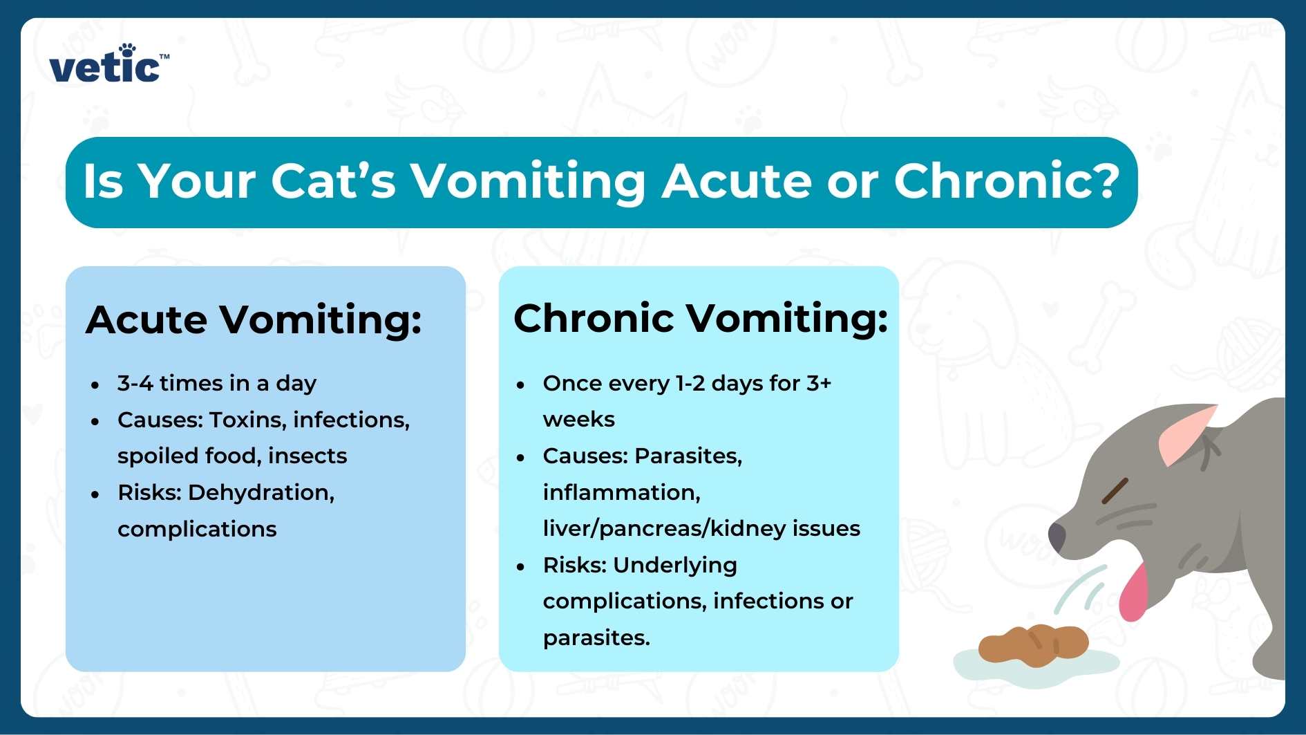 An informative graphic titled ‘Is Your Cat’s Vomiting Acute or Chronic?’ presented by ‘vetic.’ On the left, under ‘Acute Vomiting,’ it lists ‘3-4 times in a day’ and causes such as toxins, infections, spoiled food, and stress. On the right, under ‘Chronic Vomiting,’ it states ‘once every 1-2 days for 3+ weeks’ and causes like parasites, inflammation, liver/pancreas/kidney issues with risks including underlying complications, infections, or parasites. The bottom of the image shows an illustration of a grey cat vomiting.