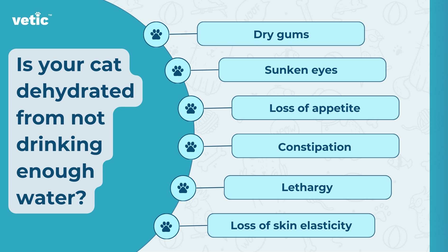 This informative infographic, created by Vetic, aims to help cat owners identify signs of dehydration in their feline companions due to inadequate water intake. The layout features a light blue background with darker blue accents. On the right side, six crucial symptoms of dehydration are listed: Dry gums Sunken eyes Loss of appetite Constipation Lethargy Loss of skin elasticity Each symptom is connected by a line to an icon of a water droplet on the left, emphasizing the link between hydration and these health indicators. The mix of bold and regular font weights ensures clarity and readability. Cat owners concerned about their pet’s well-being can use this resource to monitor hydration levels effectively.