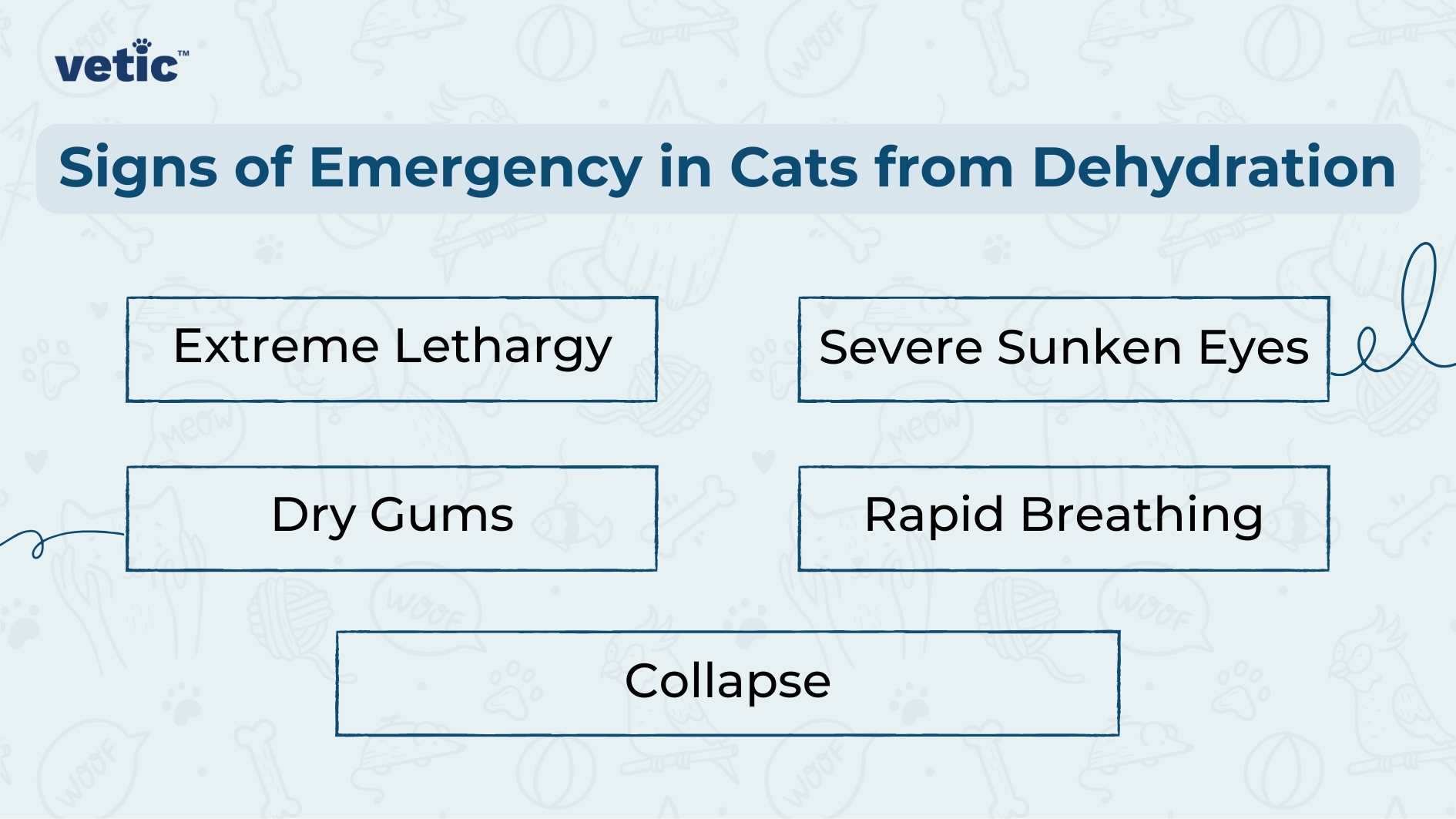 This informative infographic, created by Vetic, aims to help cat owners recognize signs of dehydration in their feline companions due to insufficient water intake. The layout features a light blue background with darker blue accents. On the right side, six crucial symptoms of dehydration are listed: Dry gums Sunken eyes Loss of appetite Constipation Lethargy Loss of skin elasticity Each symptom is connected by a line to an icon of a water droplet on the left, emphasizing the link between hydration and these health indicators. The mix of bold and regular font weights ensures clarity and readability. Cat owners concerned about their pet’s well-being can use this resource to monitor hydration levels effectively.