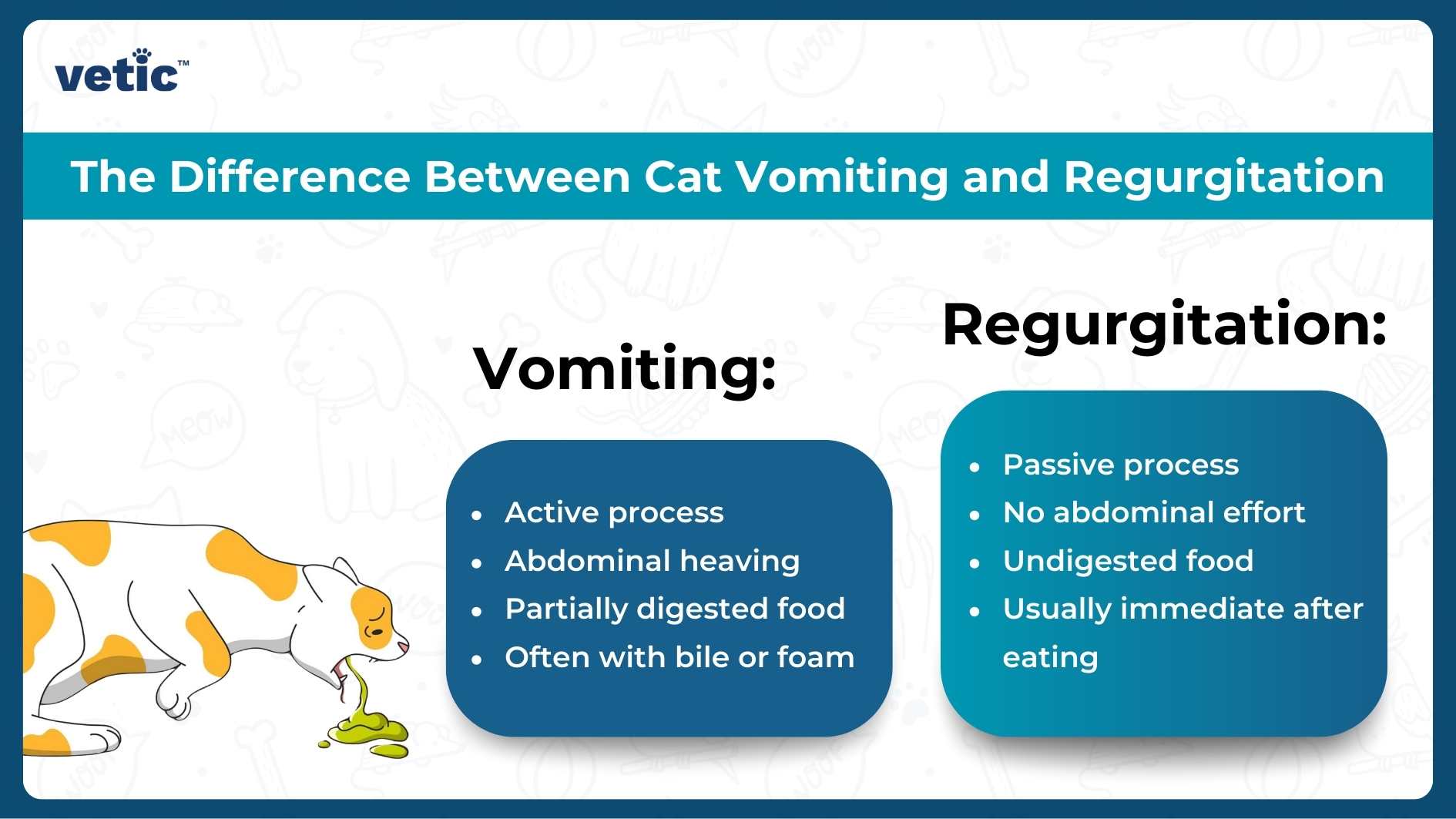 An informative image titled ‘The Difference Between Cat Vomiting and Regurgitation’ from ‘vetic.’ On the left, under the heading ‘Vomiting,’ there is a graphic of an orange and white cat in the act of vomiting with bullet points describing it as an active process, abdominal heaving, partially digested food, and often with bile or foam. On the right, under ‘Regurgitation,’ it lists characteristics such as a passive process, no abdominal effort, undigested food, and usually immediate after eating