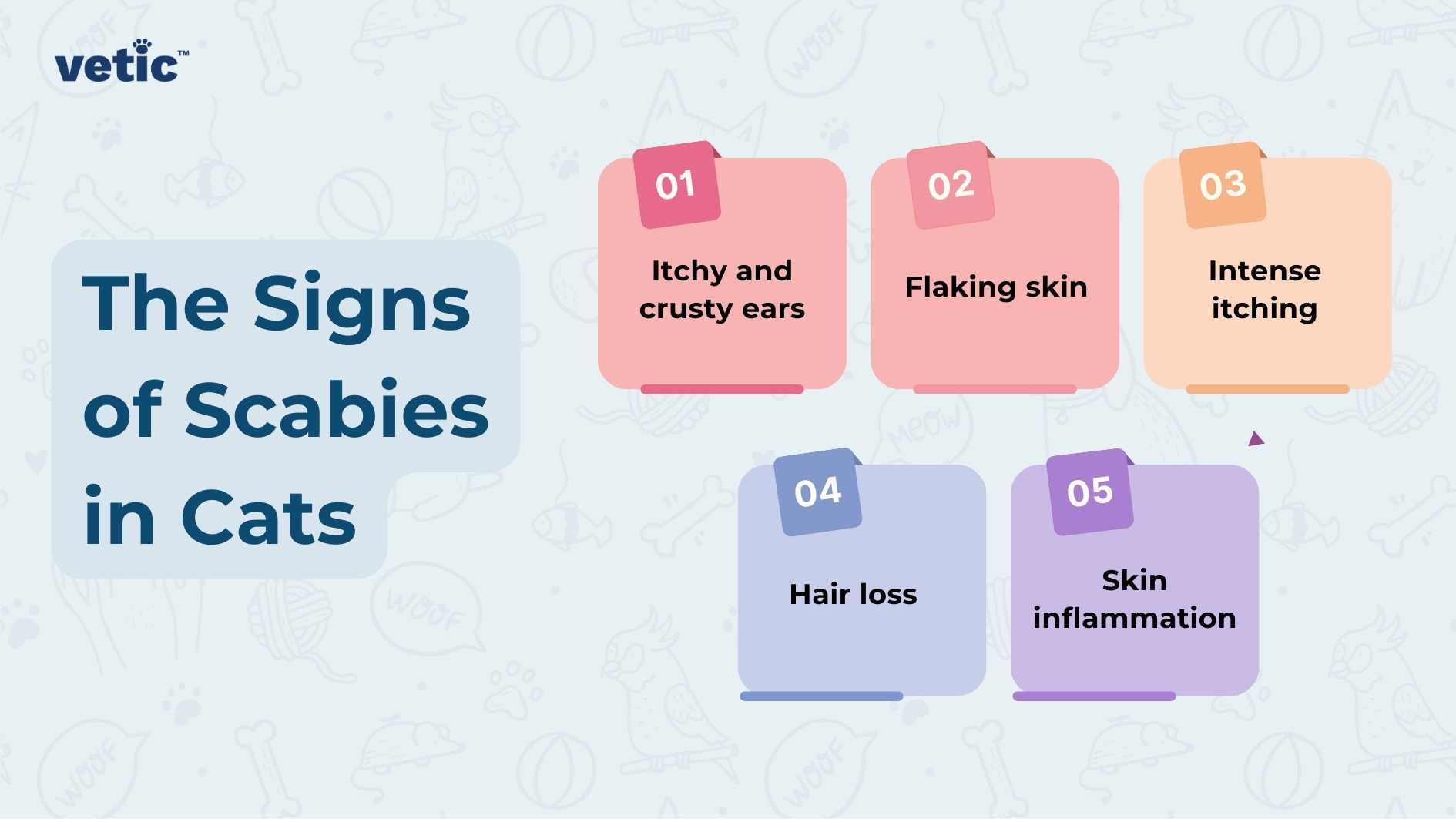 This image is an informative graphic from ‘vetic’ that outlines the five signs of scabies in cats. It features a light blue background with doodles of cats and veterinary-related items like a stethoscope, syringe, and paw prints. At the top center, in bold white letters, it reads “The Signs of Scabies in Cats?” Below this title are five numbered pink and purple tags with white text listing symptoms: “01 Itchy and crusty ears,” “02 Flaking skin,” “03 Intense itching,” “04 Hair loss,” and “05 Skin inflammation.” The use of numbered tags makes the information clear and easily digestible, while the playful background adds a friendly touch to the educational content.