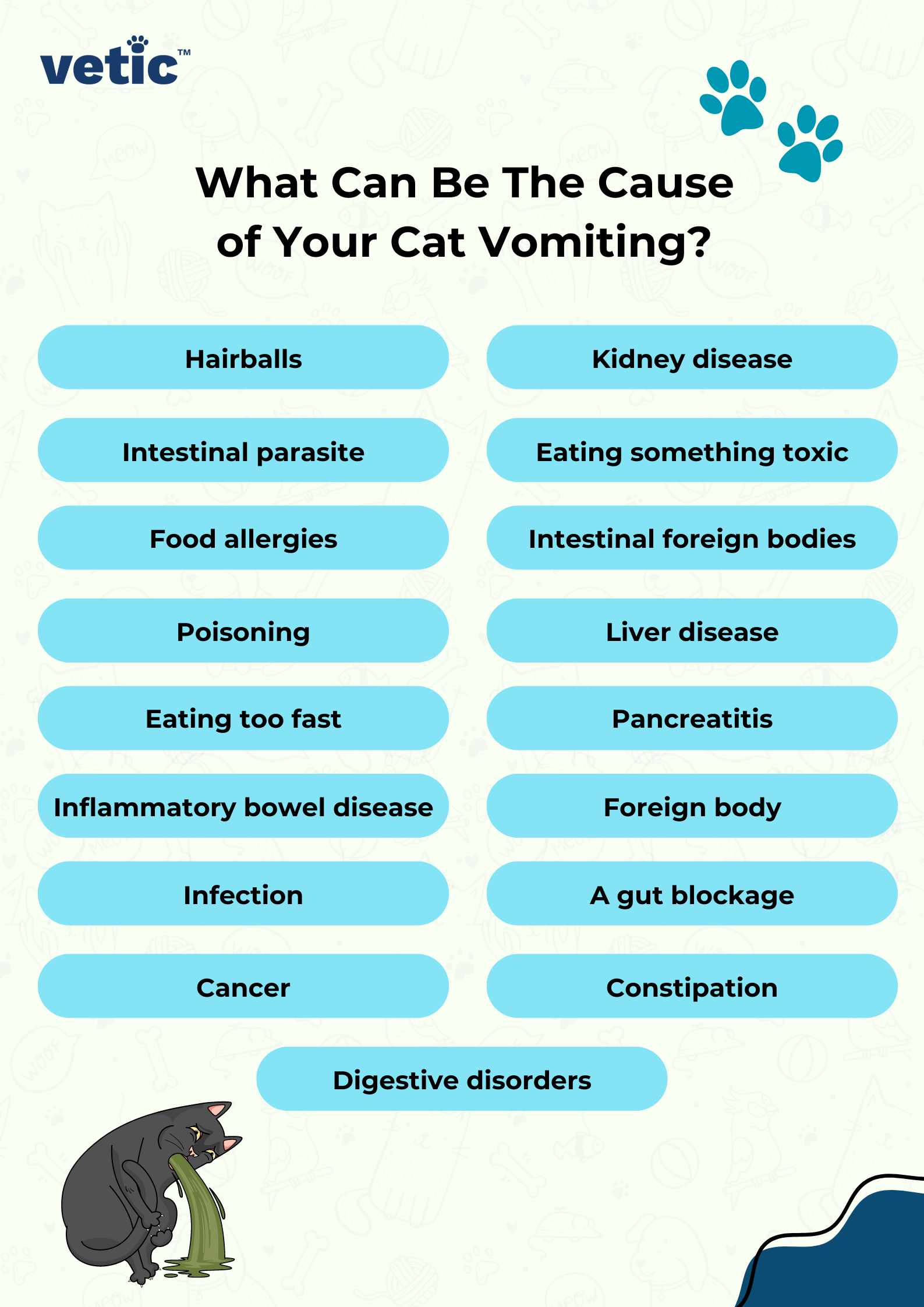 Cat vomiting food after eating best sale