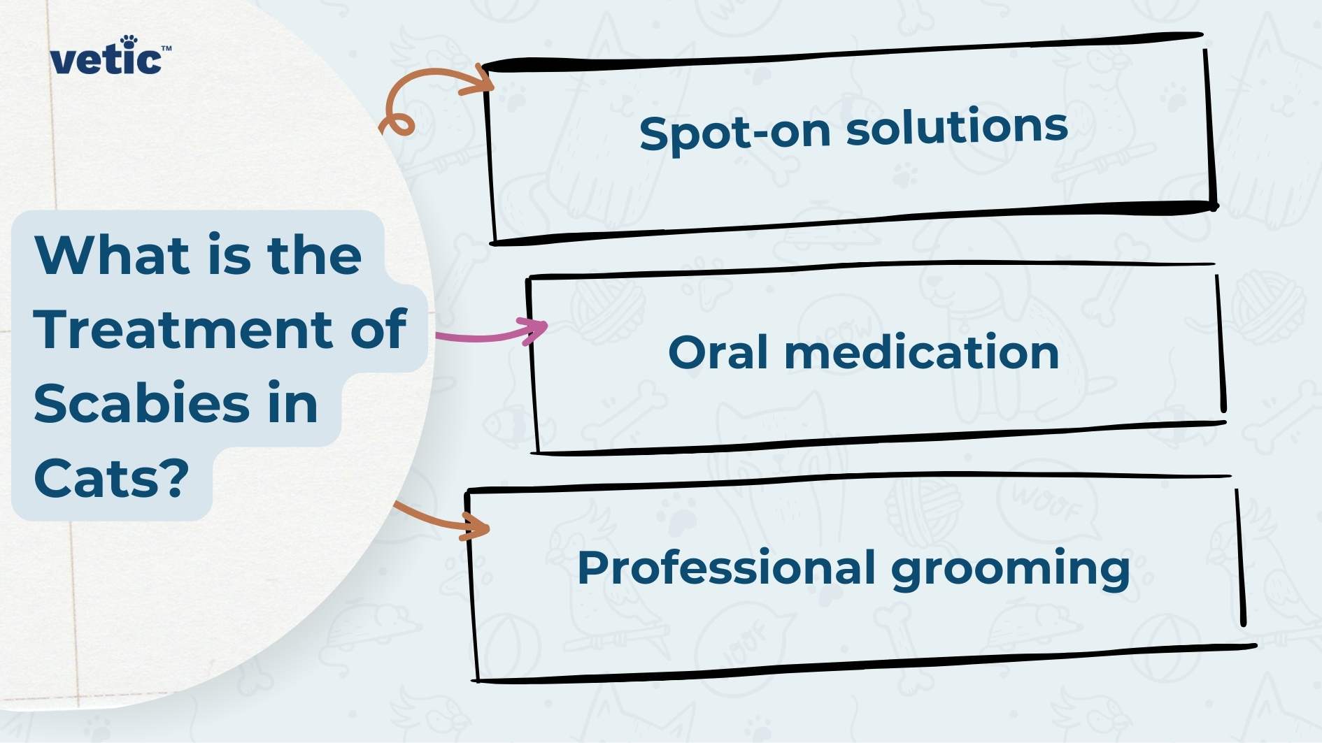 This image appears to be an informational graphic related to veterinary medicine, specifically discussing treatments for scabies in cats. It lists three different treatment methods: spot-on solutions, oral medication, and professional grooming. The design is clean and straightforward, likely intended to be easily understood by pet owners seeking information on this topic. The infographic by Vetic asks what is the treatment of scabies in cats? the answers include - “Spot-on solutions,” “Oral medication,” and “Professional grooming.”