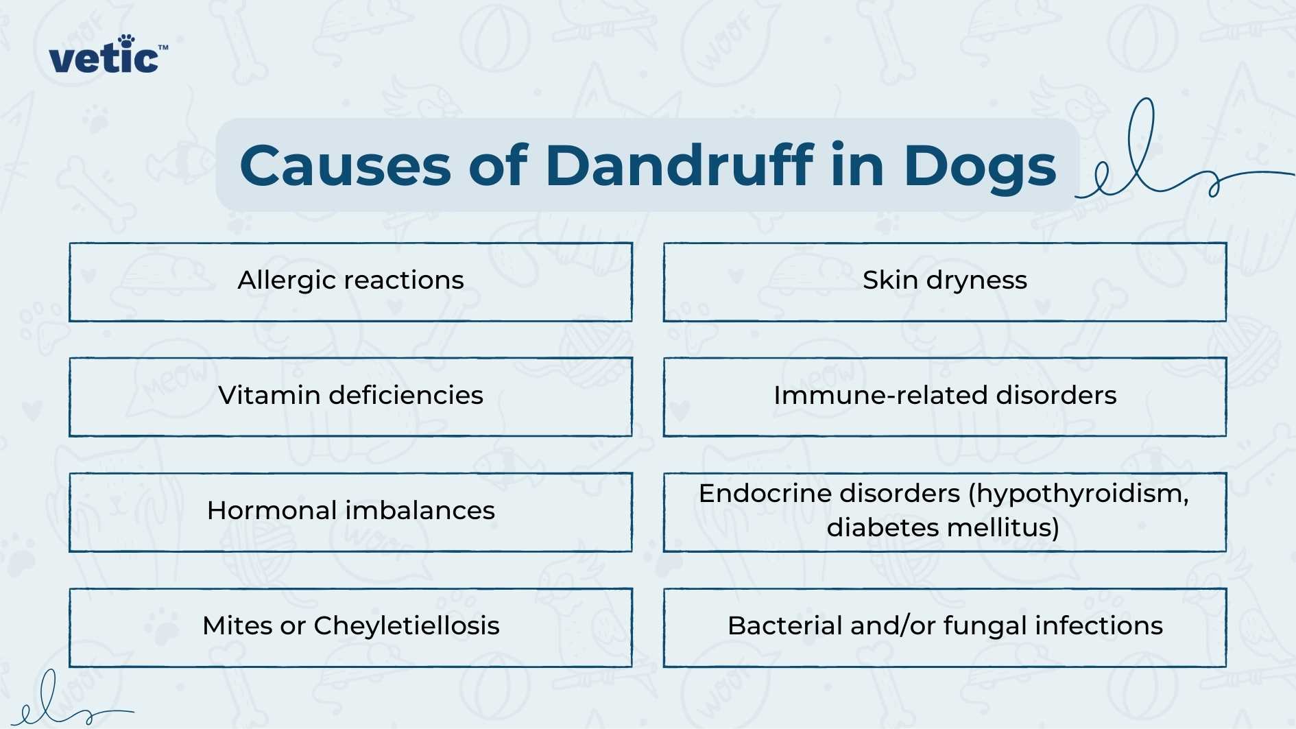 The image is a well-organized infographic by Vetic that outlines various causes of dandruff in dogs. It features a clean design with a light blue and white color scheme, enhancing readability. The title “Causes of Dandruff in Dogs” stands out at the top in bold lettering. Below the title, eight rectangular boxes with rounded corners contain different causes for canine dandruff. These causes range from common issues like allergic reactions and skin dryness to specific medical conditions such as endocrine disorders (including hypothyroidism and diabetes mellitus). Other listed causes include vitamin deficiencies, immune-related disorders, hormonal imbalances, mites or Cheyletiellosis, and bacterial or fungal infections.