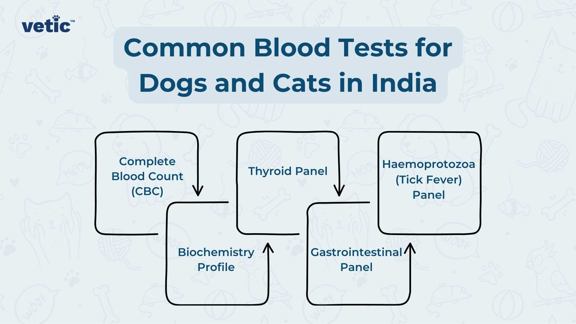 The image by Vetic presents an informative diagram titled “Common Blood Tests for Dogs and Cats in India,” which outlines various medical tests available for pets. At the top center is the main heading in bold blue font against a light background. Below this heading are five white rectangular boxes with rounded corners containing black text that names different blood tests: Complete Blood Count (CBC), Thyroid Panel, Haemoprotozoa (Tick Fever) Panel, Biochemistry Profile, and Gastrointestinal Panel. These boxes are connected by solid black arrows indicating a suggested sequence or relationship between the panels.