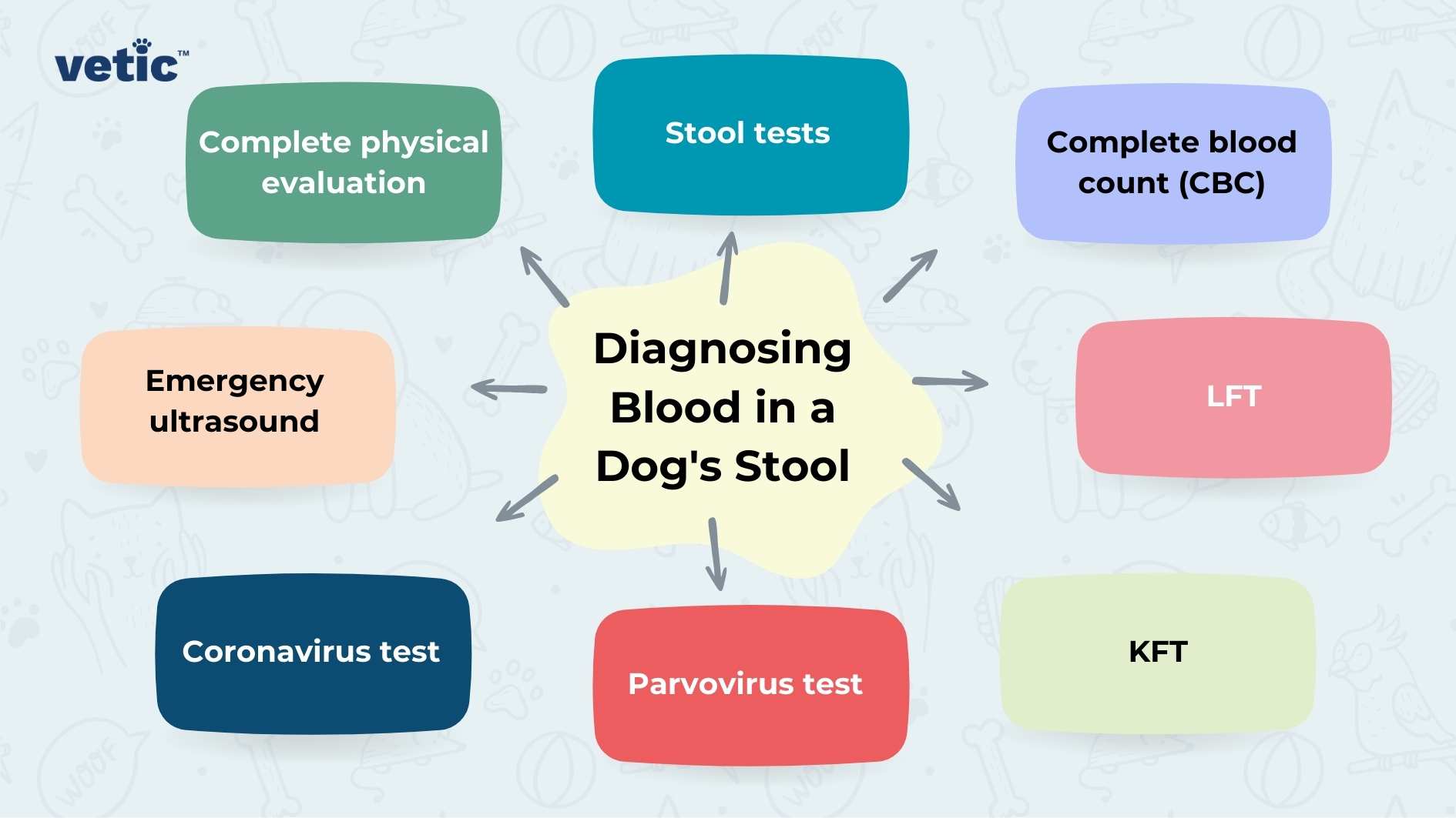 The image is an infographic from Vetic, with their logo in the top left corner. The central theme is "Diagnosing Blood in a Dog's Stool," highlighted in the center with a pale yellow background. Surrounding this central idea are several colored boxes connected by arrows, each representing a diagnostic method. The boxes include: Complete physical evaluation (Green box) Stool tests (Blue box) Complete blood count (CBC) (Purple box) LFT (Liver Function Test, Red box) KFT (Kidney Function Test, Light green box) Parvovirus test (Red box) Coronavirus test (Dark blue box) Emergency ultrasound (Peach box) The background is light, decorated with faint illustrations of various animals and veterinary symbols, creating a soft and engaging atmosphere.