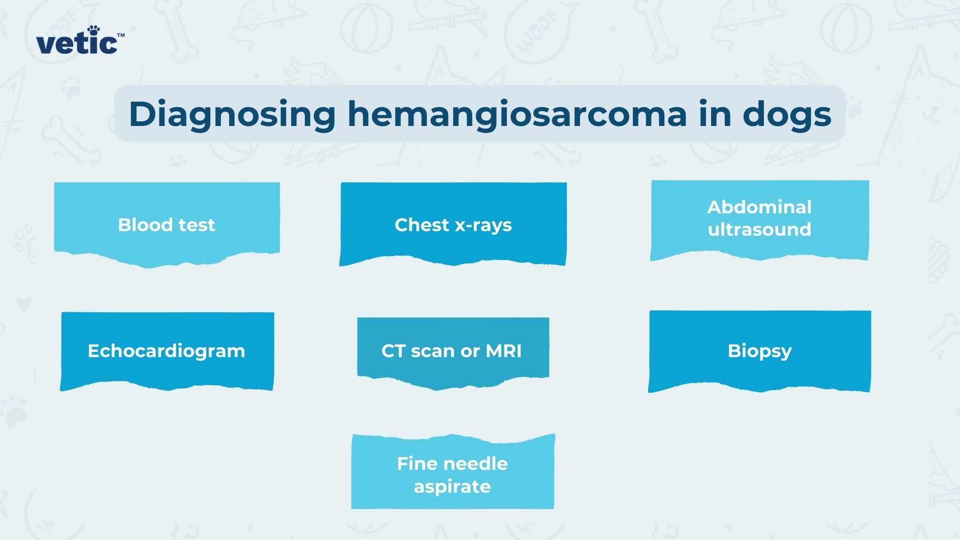 The image is a graphical representation, likely an informational poster or slide, from ‘vetic’ about diagnosing hemangiosarcoma in dogs. It features a light blue background with the title “Diagnosing hemangiosarcoma in dogs” at the top in bold white letters. Below the title, there are seven white boxes with rounded corners, each containing a method used for diagnosis written in dark blue text. The methods listed are: “Blood test,” “Chest x-rays,” “Abdominal ultrasound,” “Echocardiogram,” “CT scan or MRI,” “Biopsy,” and “Fine needle aspirate.” These boxes are connected by lines to suggest that they are related steps or options in the diagnostic process.