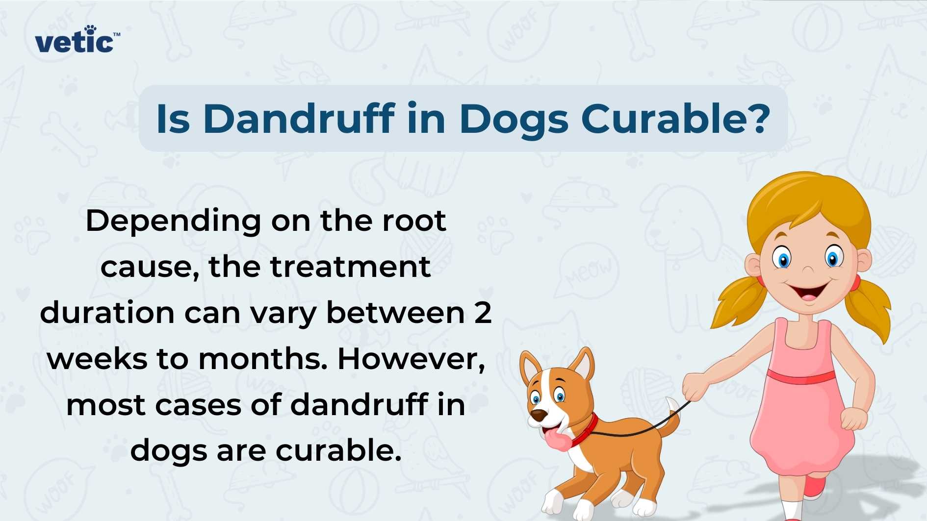 The image by vetic serves as an educational piece about canine health, specifically addressing the question “Is Dandruff in Dogs Curable?” It presents text that explains how treatment duration for dandruff in dogs can vary depending on the underlying cause, with timeframes ranging from weeks to months. The visual is engaging, depicting a cheerful cartoon girl wearing a pink dress standing next to a happy brown dog, both looking towards the viewer.