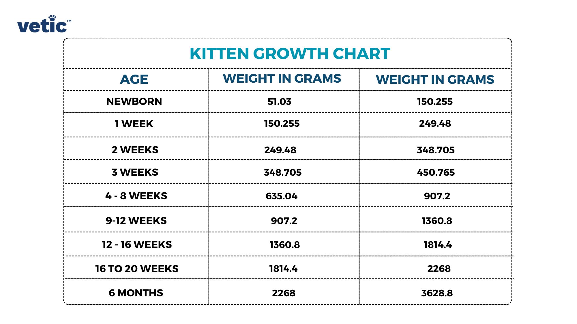 The image is a chart titled “KITTEN GROWTH CHART” made for the reference of those caring for a newborn kitten. It has the logo “vetic” at the top left corner. The chart is divided into three columns and eight rows, including the header row. The first column lists the age of kittens starting from ‘NEWBORN’ and then in weeks from ‘1 WEEK’ to ‘6 MONTHS’. The second and third columns list the weight of kittens in grams under two separate headings, both labeled ‘WEIGHT IN GRAMS’, suggesting a range of healthy weights for each age group. For a newborn kitten, the weight range is 51.03 grams to 150.255 grams. At 1 week, it’s between 150.255 grams and 249.48 grams; at 2 weeks, between 249.48 grams and 348.705 grams; at 3 weeks, between 348.705 grams and 450.765 grams; at 4-8 weeks, between 635.04 grams and 907.2 grams; at 9-12 weeks, it remains at around 907.2 grams; for kittens aged between 12-16 weeks, it ranges from around 1360.8 grams to 1814.4 grams; for those aged 16 to 20 weeks, the weight increases to 1814.4 grams on the lower end and 2268 grams on the upper end; finally, at 6 months, kittens should weigh anywhere from 2268 grams to 3628.8 grams.