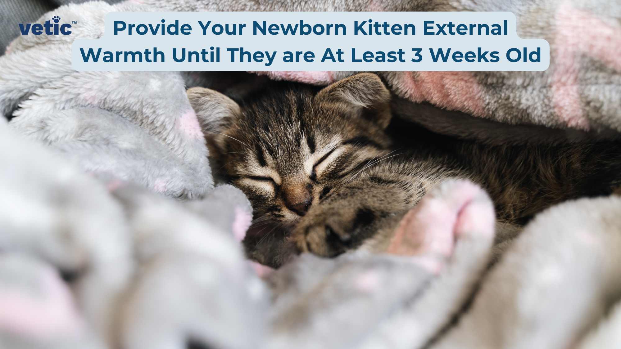 The image features a newborn kitten nestled in soft, fluffy pink and grey blankets. The kitten appears to be sleeping peacefully, with its tiny paws visible and its body mostly covered by the blankets. The image has a calming and tender quality to it. At the top of the image, there’s text in white font against a blue background that reads “Provide external warmth to your newborn kitten until they are 3 weeks or older” This suggests that the image is likely educational or informative in nature, possibly related to pet care advice. The logo “vetic” is visible in the top left corner of the image