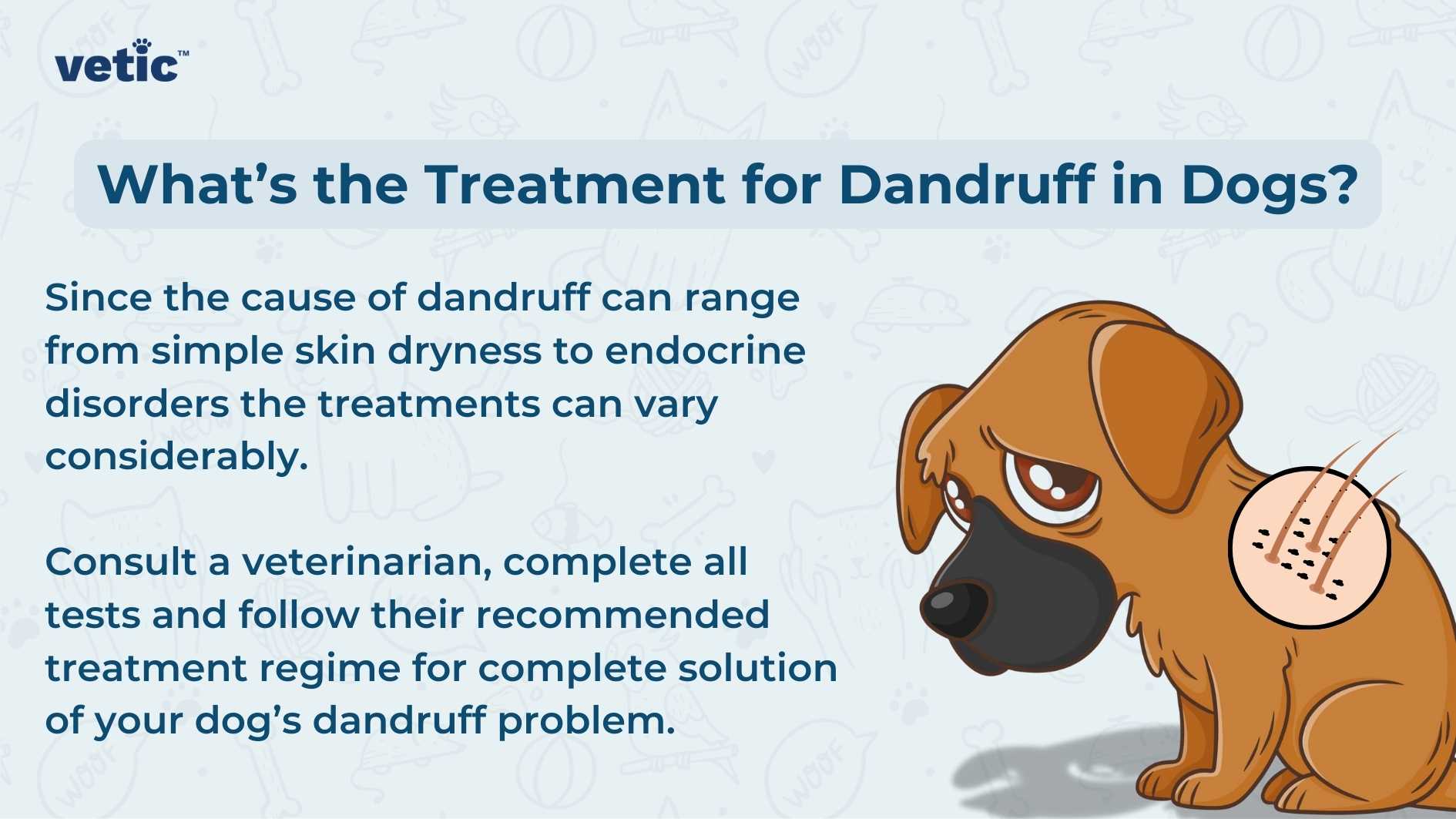 “Informative graphic explaining the treatment of dandruff in dogs by Vetic, featuring an illustration of a sad brown dog with visible dandruff and text detailing various treatments. To the right side, there’s an area highlighted with text that reads: “What’s the Treatment for Dandruff in Dogs? Since the cause of dandruff can range from simple skin dryness to endocrine disorders, the treatments can vary considerably. Consult a veterinarian, complete all tests, and follow their recommended treatment regimen for a complete solution to your dog’s dandruff problem.”