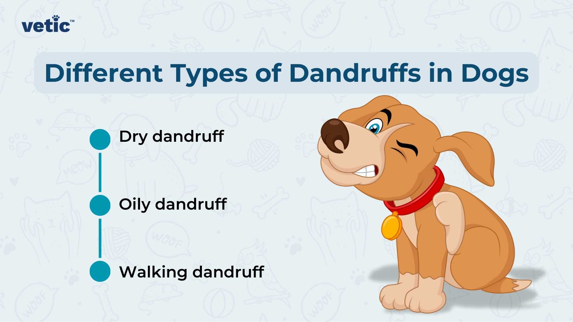 Informative graphic by Vetic explaining ‘“Different Types of Dandruffs in Dogs” “Dry dandruff” “Oily dandruff” “Walking dandruff”