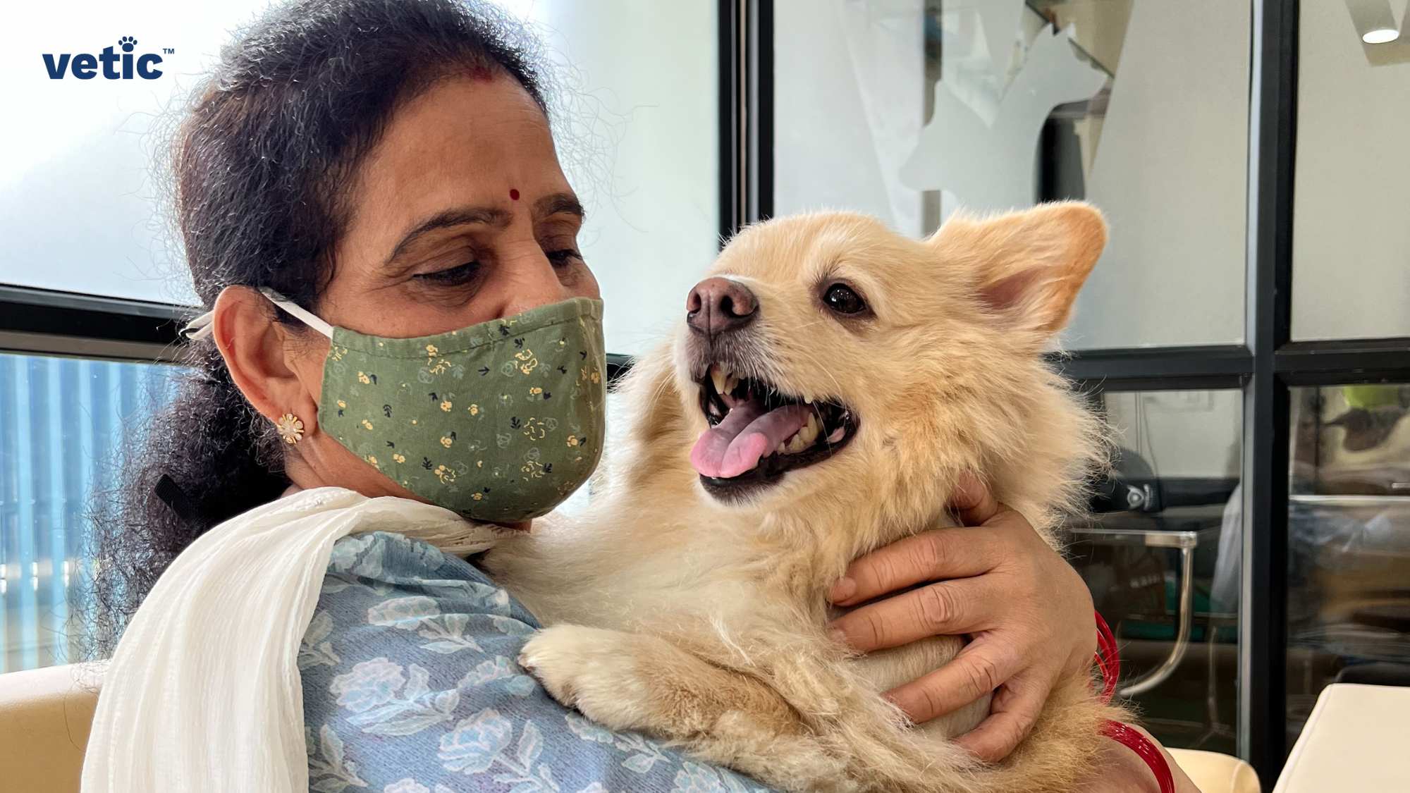 The image depicts an individual holding a light-colored, fluffy dog. The dog has erect ears and appears to be medium-sized. The setting is indoors, with glass windows visible in the background. the individual is wearing a moss-green coloured mask. Visiting the vet can be stressful for pets, so pet parents need to pay complete attention to their pets and hold them close whenever possible, as depicted by this image by Vetic