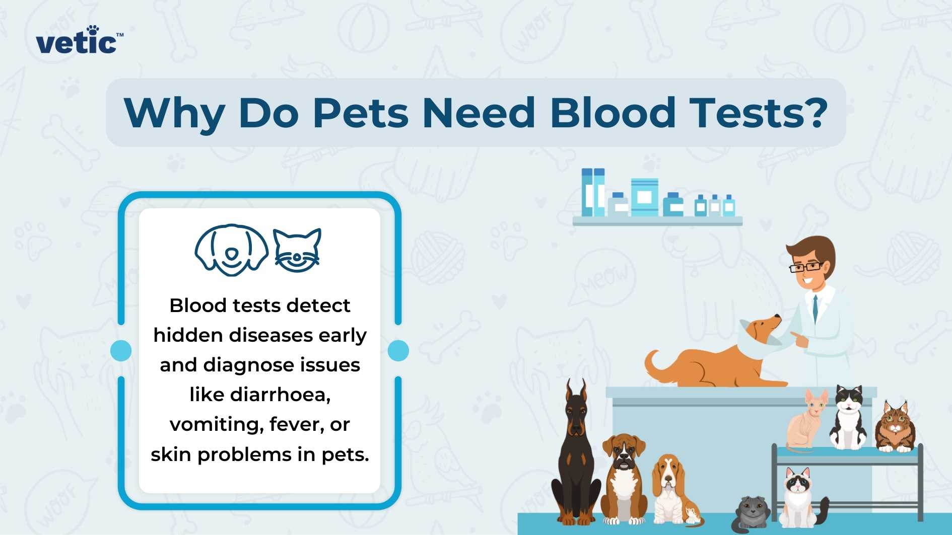 The graphic features a light blue background with the title “Why Do Pets Need Blood Tests?” in bold, dark blue text at the top. On the left side, there’s a square with rounded corners containing icons: a cat’s face, a syringe, and test tubes. Below this box, the text reads: “Blood tests detect hidden diseases early and diagnose issues like diarrhea, vomiting, fever, or skin problems in pets.” On the right side, an illustration shows a male figure in a white lab coat holding a clipboard next to a brown dog on an examination table. Five cats are on the floor with various expressions and postures. Blood tests detect hidden diseases early and diagnose issues like diarrhea, vomiting, fever, or skin problems in pets.