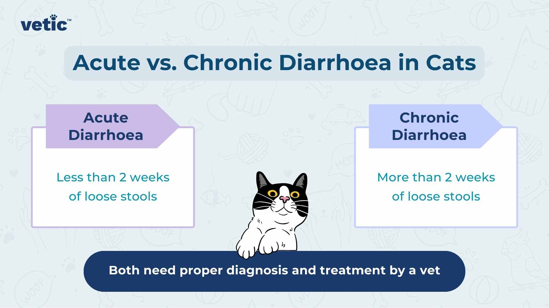 The image presents a comparison between acute and chronic diarrhea in cats, using a visual chart format. On the left side, under the heading “Acute Diarrhoea,” it states “Less than 2 weeks of loose stools.” On the right side, under the heading “Chronic Diarrhoea,” it states “More than 2 weeks of loose stools.” In the center bottom of the image, there is an additional note stating “Both need proper diagnosis and treatment by a vet.” The central graphic features an illustration of a cat with black and white fur wearing glasses. The background is blue with decorative elements around each type of diarrhea’s description.