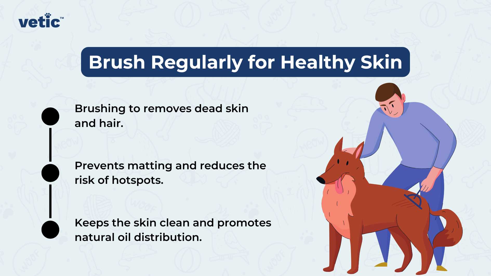 The image is a graphical representation highlighting “Common Dog Skin Problems” as part of regular grooming for dogs, with a focus on three main issues. On the left, there’s a light blue box with the text “Dermatitis: Causes (allergens, fleas), symptoms (redness, itching).” In the center, an orange box reads “Scabies (Mange): Highly contagious, intense itching, hair loss.” To the right, a green box states “Hotspots: Localised areas of irritated and infected skin.” Each box has rounded corners and is accompanied by an icon illustrating the condition: a flea for Dermatitis, a mite for Scabies, and inflamed skin for Hotspots. The background features faint outlines of bones and paws in a repeating pattern. At the bottom right corner is an illustration of a dog with patches of missing fur and red skin to visually represent the conditions discussed. The Vetic logo appears at the top center; it’s stylized with lowercase letters in bold purple font and is flanked by two green leaves that form part of the letter ‘v’, suggesting a natural or holistic approach to pet care.