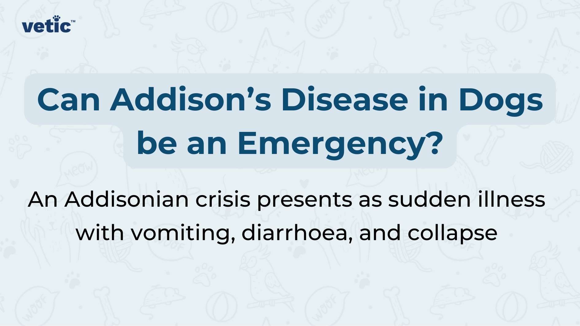 The image features a blue background with white and light blue text. At the top, there is a logo that reads “vetic” in lowercase letters with a distinctive design element resembling a checkmark above the letter ‘i’. The main text in white reads, “Can Addison’s Disease in Dogs be an Emergency?” Below this headline, in smaller light blue text, it states, “An Addisonian crisis presents as sudden illness with vomiting, diarrhoea, and collapse.”