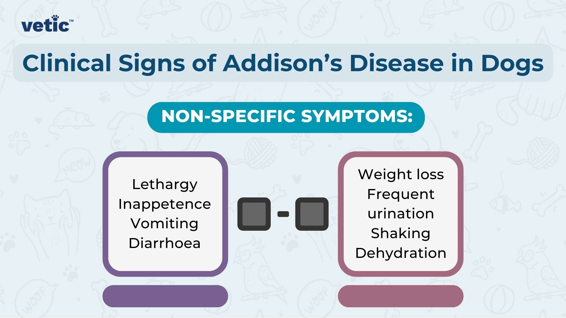 The image is an informative graphic titled “Clinical Signs of Addison’s Disease in Dogs” from a source named ‘vetic’. It features two lists under the heading “NON-SPECIFIC SYMPTOMS:” which are separated by a symbol resembling a pair of binoculars. The list on the left side includes: Lethargy Inappetence Vomiting Diarrhoea The list on the right side includes: Weight loss Frequent urination Shaking Dehydration The background is white with a gradient blue header, and each list is within a purple rounded rectangle.