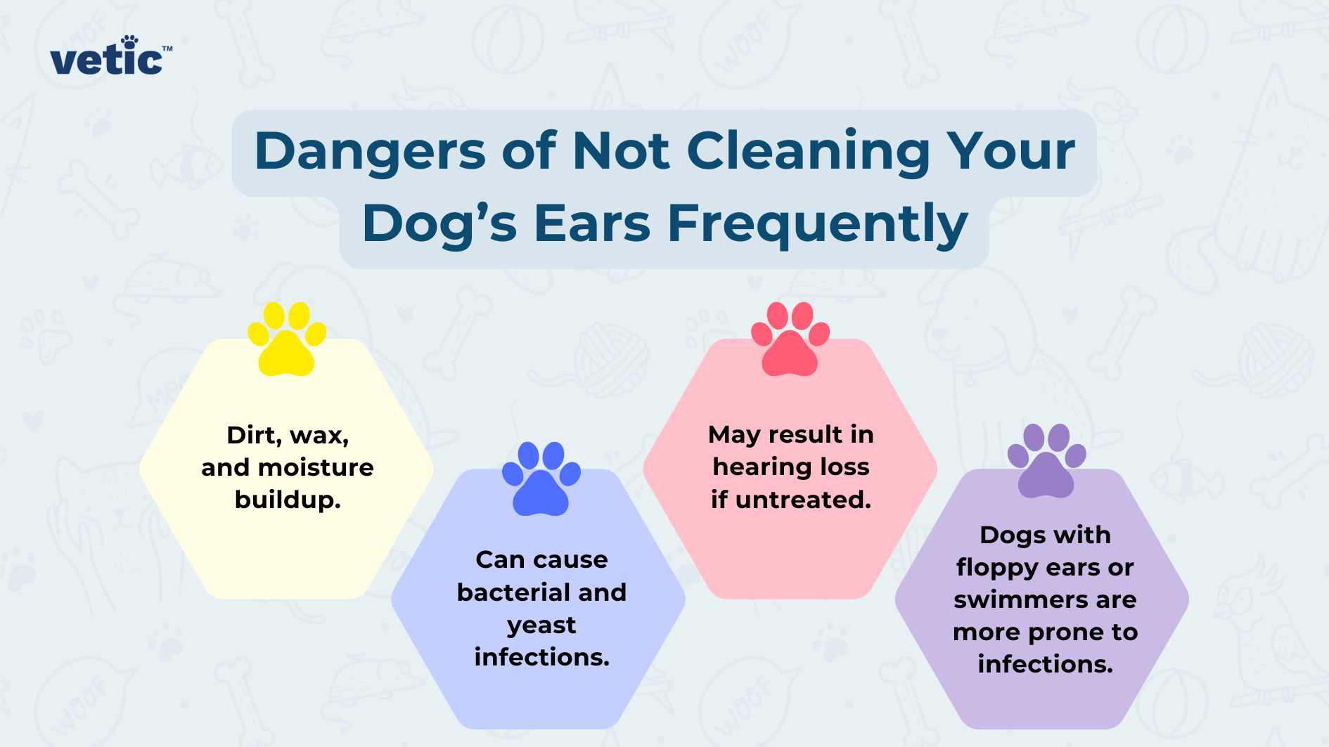 The image is an informative graphic with a light blue background featuring various dog-related doodles such as bones, paw prints, and dog silhouettes. The central theme of the image is “Dangers of Not Cleaning Your Dog’s Ears Frequently,” highlighted in bold at the top. Below this title are three colorful paw print icons—purple, pink, and blue—each containing a specific pointer about the risks associated with neglecting a dog’s ear hygiene. Purple Paw Print (Left): Text: “Dirt, wax, and moisture buildup.” Message: Not cleaning a dog’s ears can lead to an accumulation of these substances. Pink Paw Print (Middle): Text: “Can cause bacterial and yeast infections.” Message: The buildup mentioned earlier can create an environment conducive to infections. Additional Note: “May result in hearing loss if untreated,” serving as a serious warning about potential long-term consequences. Blue Paw Print (Right): Text: “Dogs with floppy ears or swimmers are more prone to infections.” Message: Certain types of dogs or those with specific habits may be at higher risk for ear problems if their ears are not cleaned regularly.