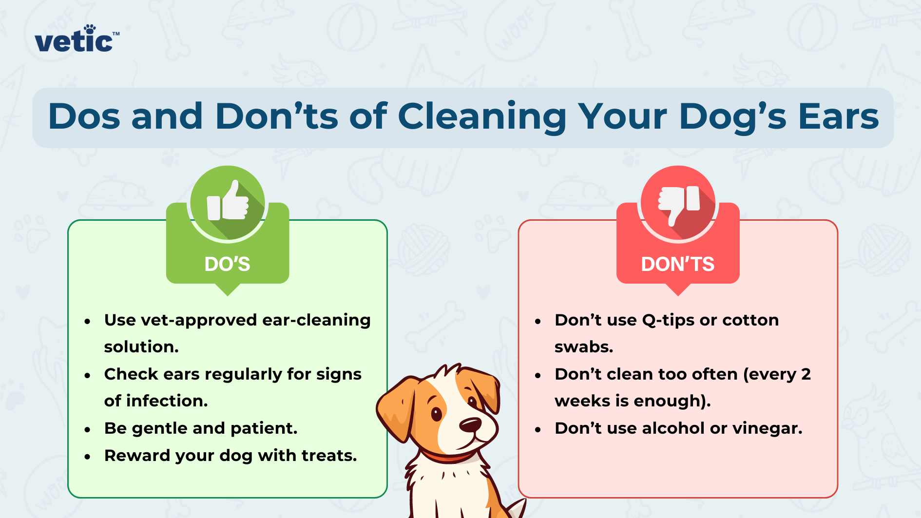 The image is an informative graphic titled “Dos and Don’ts of Cleaning Your Dog’s Ears,” presented by ‘vetic’. The graphic is divided into two sections, each with a distinct background color and symbol: Left Section (Green Header with Thumbs-Up Icon): “DO’s” Bullet Points: Use vet-approved ear-cleaning solution. Check ears regularly for signs of infection. Be gentle and patient. Reward your dog with treats. Right Section (Pink Header with Thumbs-Down Icon): “DON’Ts” Bullet Points: Don’t use Q-tips or cotton swabs. Don’t clean too often (every 2 weeks is enough). Don’t use alcohol or vinegar.