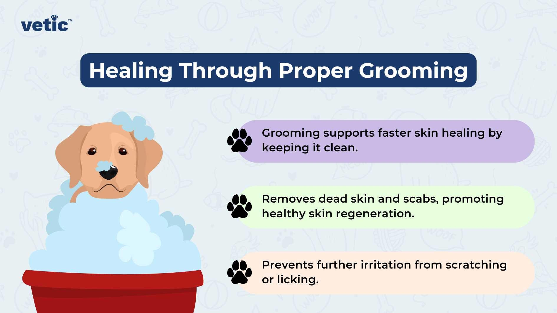 The image is a colorful and informative graphic that emphasizes the importance of “regular grooming for dogs” under the title “Healing Through Proper Grooming.” It features three key pointers on the benefits of grooming for canine skin health. The first pointer states that grooming supports faster skin healing by keeping it clean. The second highlights that it removes dead skin and scabs, promoting healthy skin regeneration. The third point mentions that grooming prevents further irritation from scratching or licking. Design-wise, the image has a vibrant blue background with decorative white dots resembling bubbles or soap suds, which aligns with the theme of cleanliness and grooming. On the left side, there’s an illustration of a content-looking dog sitting in a bathtub filled with bubbles, reinforcing the message of regular bathing as part of grooming. The dog is golden-brown with floppy ears and appears relaxed amidst the bath. Each pointer is accompanied by an icon: a paw print for each bullet point, which adds to the pet-centric theme of the graphic. These icons are black and provide a visual break between each statement. In terms of branding, there’s a logo in the bottom right corner labeled “Vetic.” It consists of bold lettering in white against a purple tag-shaped background with rounded corners. This logo likely represents either the creator or sponsor of this informational graphic.