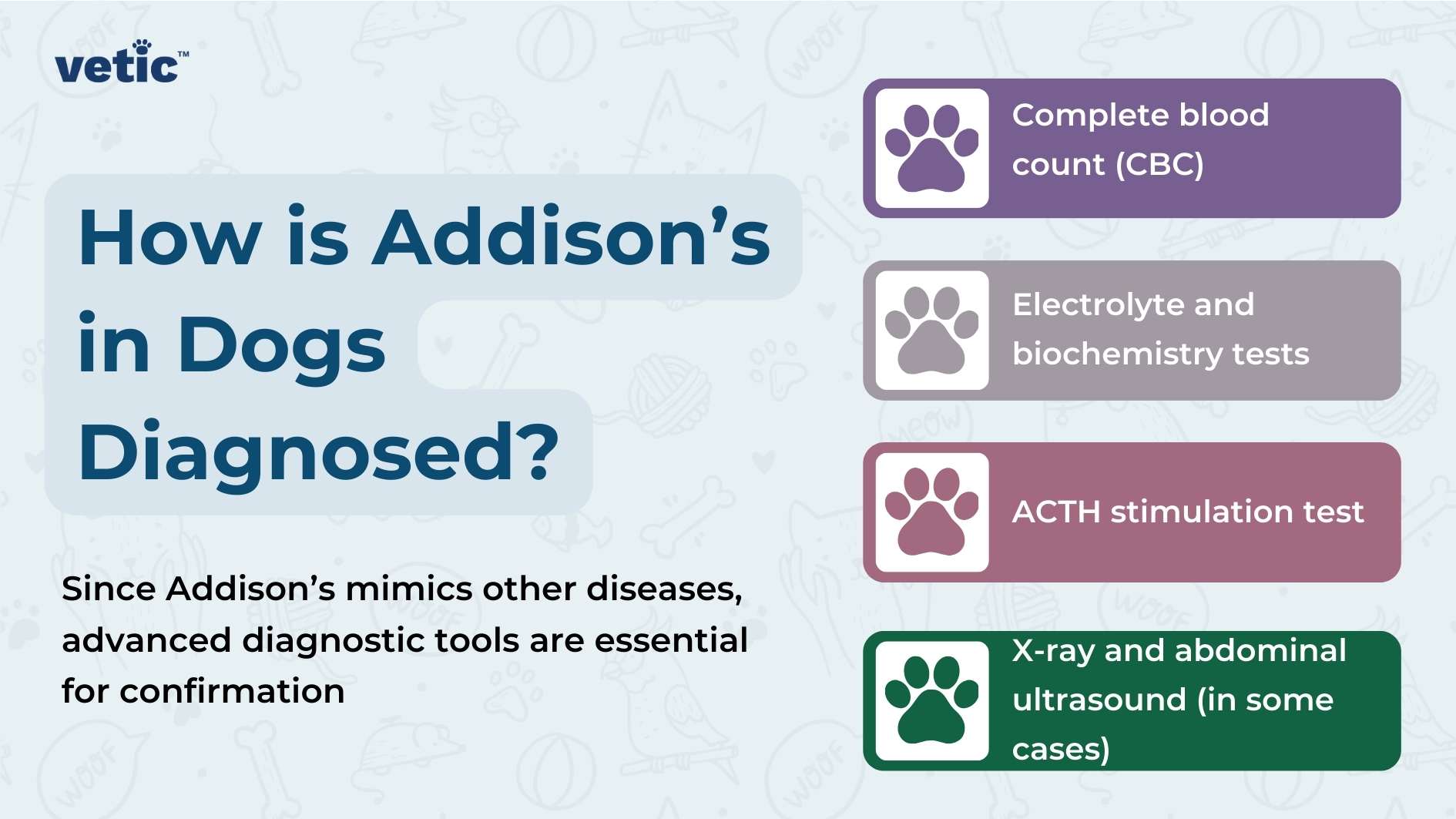 The image is an informative graphic with a light blue background and white text, accompanied by various icons related to veterinary care. At the top, there is a logo that reads “vetic” in lowercase letters with a green leaf symbol as part of the letter ‘i’. The main heading in bold white text states, “How is Addison’s in Dogs Diagnosed?” Below the heading, there are five bullet points each with an icon on its left: Complete blood count (CBC) - represented by a paw print icon. Electrolyte and biochemistry tests - represented by a drop of blood or fluid icon. ACTH stimulation test - represented by a laboratory flask icon. X-ray - represented by an X-ray plate icon. and abdominal ultrasound (in some cases) - represented by an ultrasound machine icon. At the bottom of the image, there is additional text that reads, “Since Addison’s mimics other diseases, advanced diagnostic tools are essential for confirmation.”