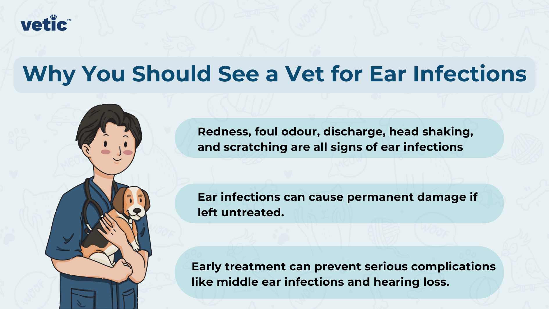 The image is an informational graphic by Vetic, with a light blue background. It features an illustration of a person in medical scrubs holding a small dog on the left side. On the right side, there are three sections of text with bullet points, each providing information about ear infections in dogs. Top Section: Heading: “Why You Should See a Vet for Ear Infections” Bullet Points: “Redness, foul odour, discharge, head shaking, and scratching are all signs of ear infections.” Middle Section: Text: “Ear infections can cause permanent damage if left untreated.” Bottom Section: Text: “Early treatment can prevent serious complications like middle ear infections and hearing loss.”