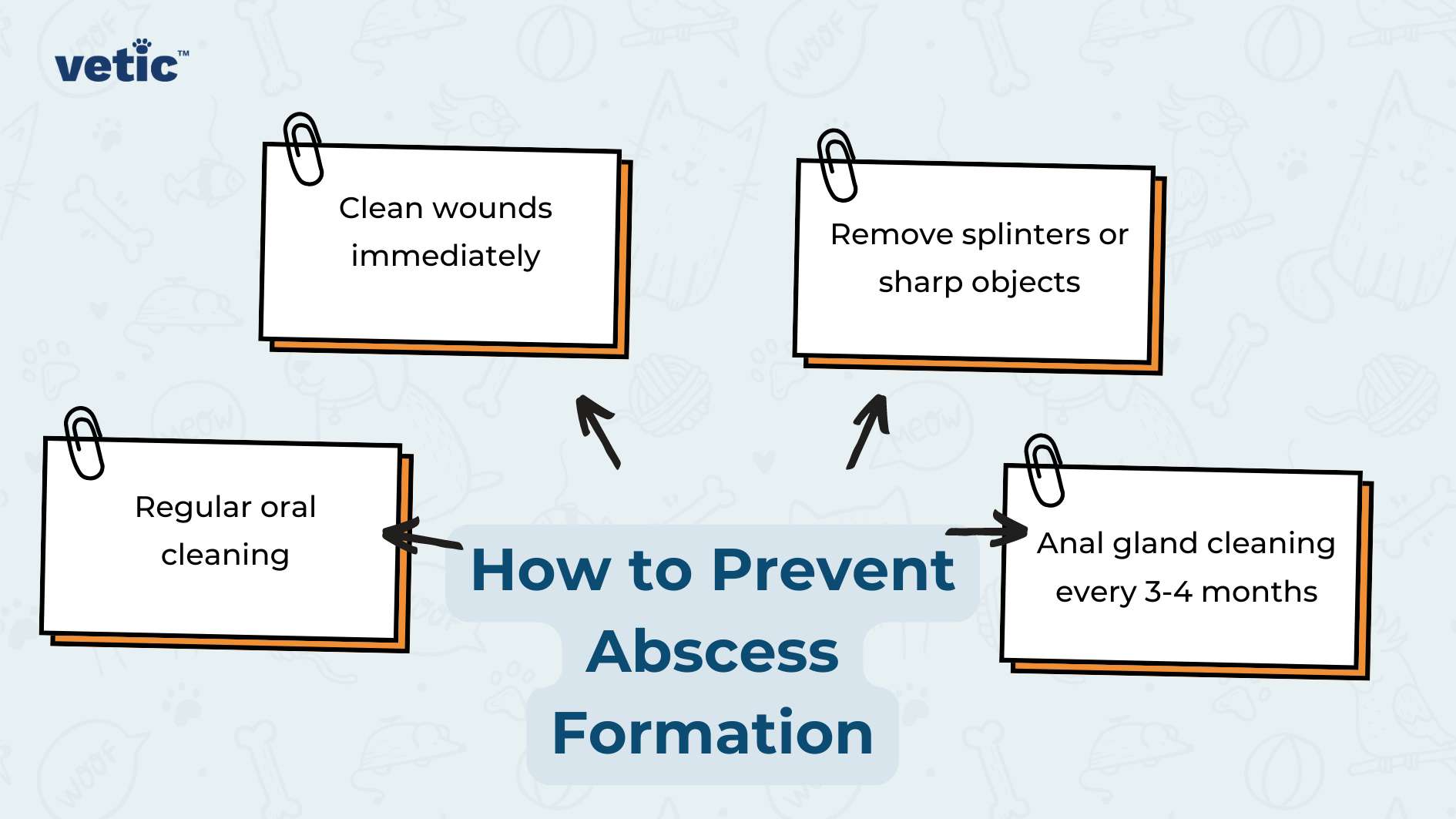 The image is an informative graphic titled “How to Prevent Abscess in Dogs,” focusing on abscesses in dogs. The central part of the image features a bold title in blue that reads “How to Prevent Abscess Formation.” This title serves as the nucleus of the graphic, with four orange-bordered rectangles branching out from it, each containing a preventive measure. These rectangles are connected to the central title by arrows, indicating a flow of information. Clean Wounds Immediately: The first rectangle, located at the top left, emphasizes the importance of prompt care for any injuries a dog might sustain. This measure is crucial in preventing infections that could lead to abscess formation. Remove Splinters or Sharp Objects: The next rectangle, positioned at the top right, advises removing any splinters or sharp objects that could potentially cause wounds. This step is essential to avoid injuries that might result in abscesses. Anal Gland Cleaning Every 3-4 Months: The third rectangle, found at the bottom right, recommends regular maintenance of a dog’s anal glands every 3-4 months. This preventive measure helps in avoiding abscesses that can form near a dog’s anal glands. Regular Oral Cleaning: The last rectangle, located at the bottom left, highlights the importance of consistent oral hygiene. Regular cleaning of a dog’s teeth and gums is vital in preventing abscesses that can develop due to dental issues.