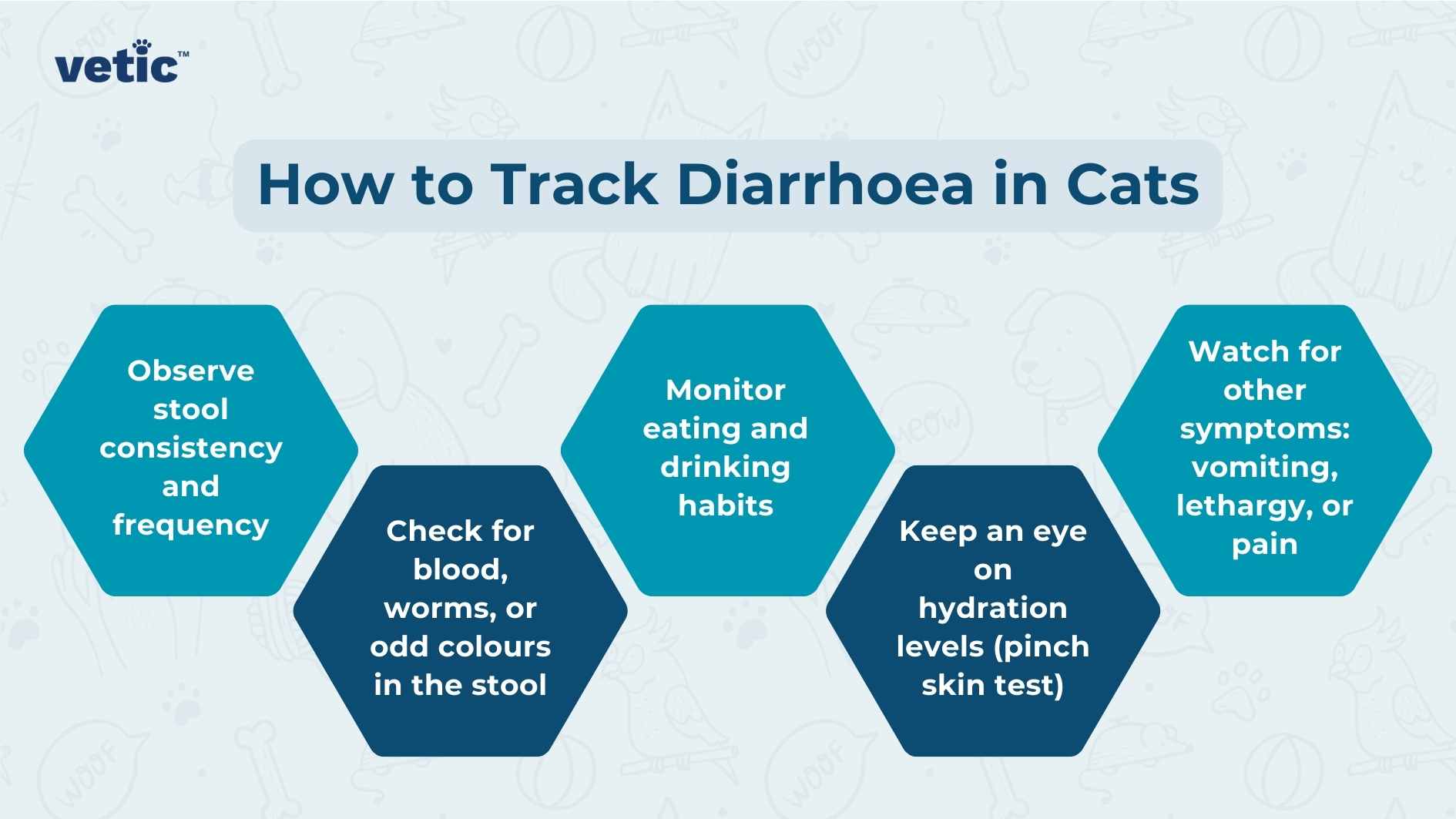 The image is an informative graphic titled “How to Track Diarrhoea in Cats” from a source named ‘vetic’. It features six hexagonal icons arranged in two rows, connected by lines that suggest a flow or sequence. Each hexagon contains a brief instruction related to monitoring the health of a cat with diarrhea. Starting from the left, the first row includes: Observe stool consistency and frequency Check for worms, blood, or odd colours in the stool The second row includes: 3. Monitor eating and drinking habits 4. Keep an eye on hydration levels (pinch skin test) On the right side of the graphic, there is an additional note that reads: 5. Watch for other symptoms: vomiting, lethargy, or pain The background is light blue with decorative elements like leaves and dots.