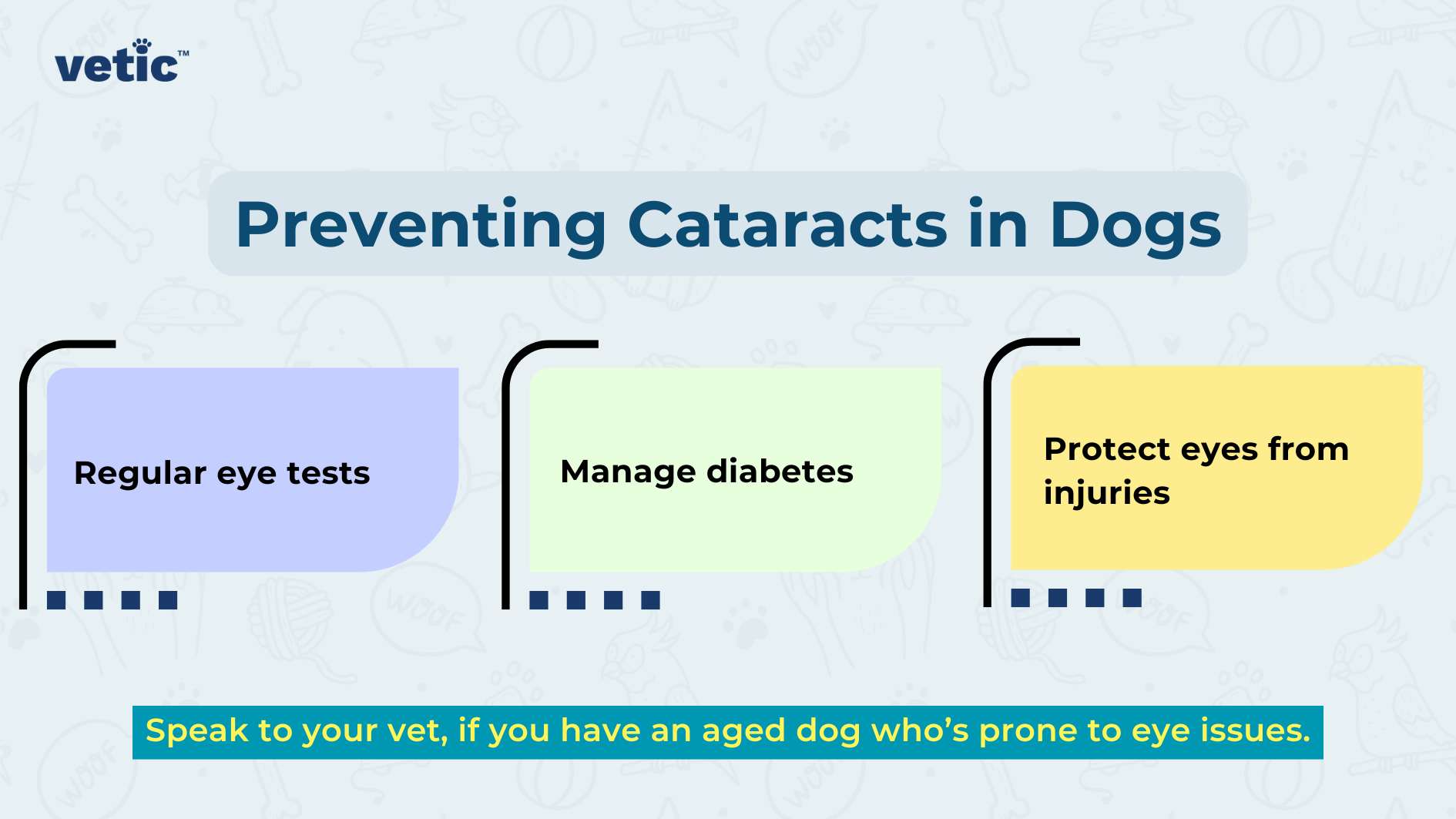 The image is a colorful infographic titled “Preventing Cataracts in Dogs” by Vetic. It features a light blue background with three separate, rounded rectangular blocks, each containing a key point for cataract prevention in dogs. The first block on the left is purple and advises “Regular eye tests,” the middle block is green and suggests to “Manage diabetes,” and the third block on the right is yellow, recommending to “Protect eyes from injuries.” Below these blocks, there’s an additional note in smaller font on a dark blue banner that reads: “Speak to your vet if you have an aged dog who’s prone to eye issues.” The overall design of the infographic is clean, modern, and uses pet-friendly colors.