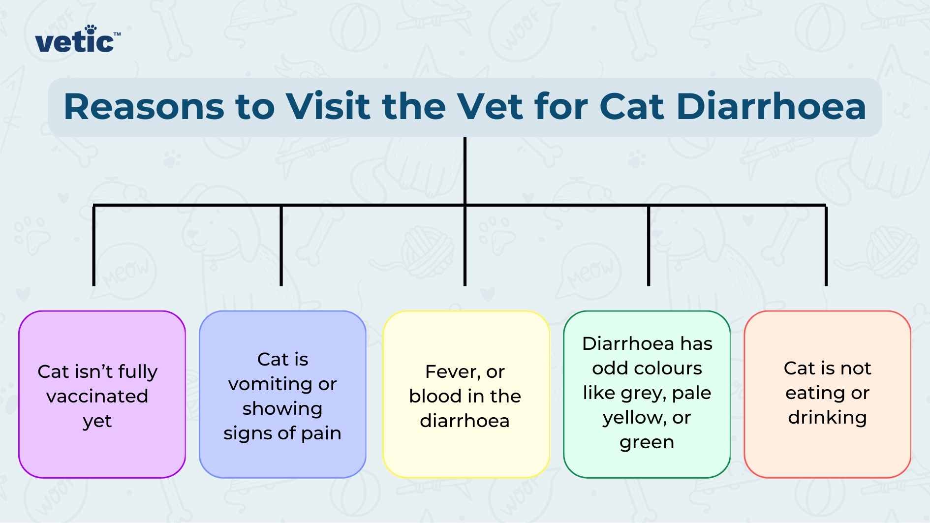 The image is an informative graphic titled “Reasons to Visit the Vet for Cat Diarrhoea.” It features a central heading with five colored boxes below, each connected to the heading by a line, resembling a flowchart. The boxes contain different reasons to seek veterinary care for a cat with diarrhea. Starting from the left, the first box is purple and states “Cat isn’t fully vaccinated yet.” Next is a blue box saying “Cat is vomiting or showing signs of pain.” The middle box is pink and lists “Fever, blood in the diarrhoea.” Following that is a green box indicating “Diarrhoea has odd colours like grey, pale yellow, or green.” Lastly, there’s an orange box on the right which reads “Cat is not eating or drinking.”