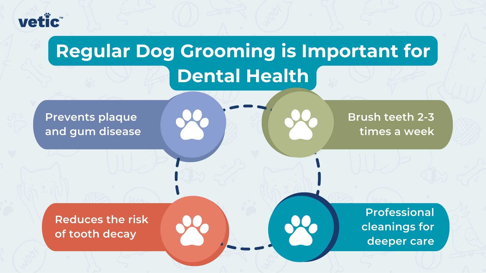 The image is an informative graphic emphasizing the importance of “regular grooming for dogs,” specifically highlighting its benefits for dental health. The central theme is conveyed through a bold title at the top, “Regular Dog Grooming is Important for Dental Health,” set against a light blue background that transitions to white towards the bottom. The Vetic logo, which appears to be a stylized representation of a pet with a checkmark symbolizing care or approval, is prominently displayed in the upper left corner. Four circular nodes, each with a distinct color and icon of a paw print, are interconnected by lines forming a loop around the central title. These nodes represent key points about dog grooming: The first node on the top left, with a blue background and white paw print, states “Prevents plaque and gum disease.” Moving clockwise, the next node on the top right has a green background and advises to “Brush teeth 2-3 times a week.” Below it on the bottom right is another node in orange stating “Professional cleaning for deeper care.” Completing the loop on the bottom left is a red node that says “Reduces the risk of tooth decay.” Each point serves as both an individual tip and part of an overall strategy for maintaining canine dental health through regular grooming practices. The design elements are simple yet effective; they use contrasting colors like blue, green, orange, and red to draw attention to each point while maintaining visual harmony within the graphic. The use of paw prints not only reinforces that this information pertains to dogs but also adds an element of charm to what could otherwise be purely instructional content.