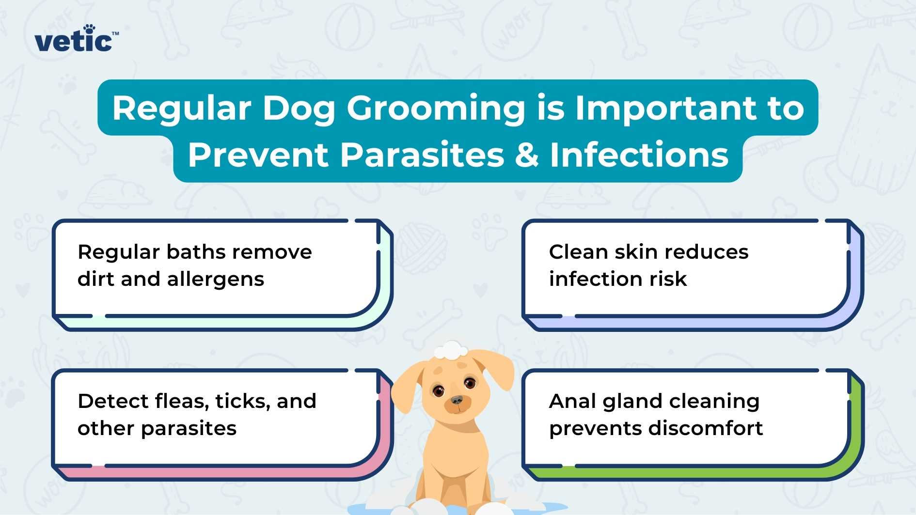 The image is an informative graphic emphasizing the importance of “regular grooming for dogs” to prevent parasites and infections. At the top center, the ‘Vetic’ logo is prominently displayed. The logo features a stylized ‘V’ in a darker shade of blue, followed by the word ‘vetic’ in lowercase letters, using a modern sans-serif font. The background of the image transitions from light blue at the top to white at the bottom, creating a clean and professional look. The main title, “Regular Dog Grooming is Important to Prevent Parasites & Infections,” is written in bold, capitalized font and spans across the top third of the image. Below this title, there are four rounded rectangles with drop shadows, each containing a key point about dog grooming. Each rectangle includes an icon on its left side that visually represents its respective point. The first rectangle states that “regular baths remove dirt and allergens” and features an icon resembling water droplets. The second rectangle highlights that “clean skin reduces infection risk,” accompanied by an icon suggestive of cleanliness or purity. The third rectangle indicates that grooming can “detect fleas, ticks, and other parasites,” represented by a magnifying glass icon, implying inspection or detection. The fourth rectangle advises that “anal gland cleaning prevents discomfort,” with an icon depicting a dog from behind, emphasizing the specific area mentioned. Each pointer is enclosed within its own color block, alternating between light green and light purple, to create visual separation and enhance readability. The design elements are simple yet effective in conveying information clearly while maintaining aesthetic appeal.