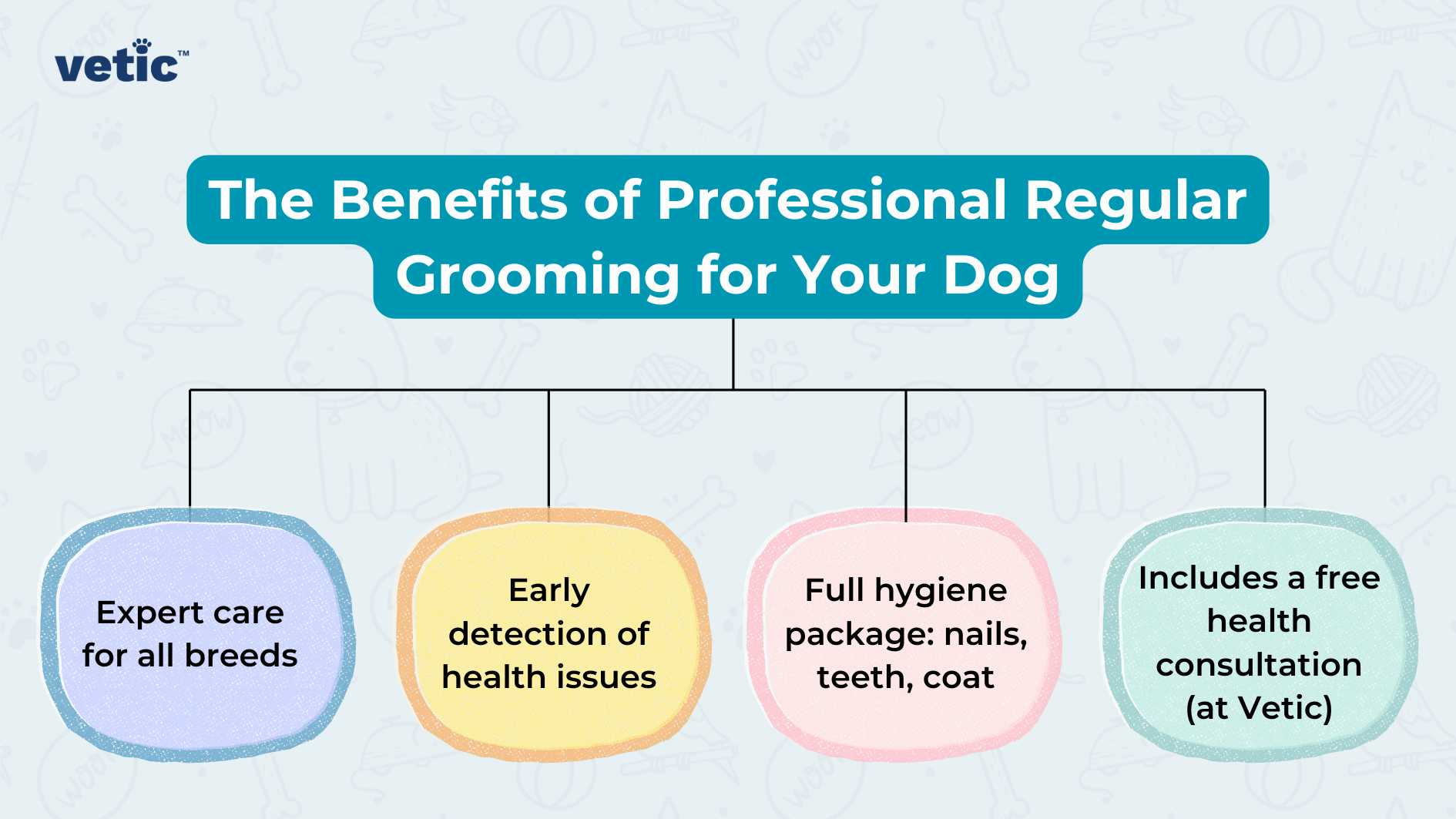 The image is a colorful infographic that highlights “The Benefits of Professional Regular Grooming for Your Dog,” emphasizing the importance of regular grooming for dogs. The design features a bright and engaging color palette with four distinct circular icons, each set against a different pastel background—blue, yellow, pink, and green. Each icon contains a short phrase summarizing a key benefit of dog grooming. Starting from the left, the first blue circle states “Expert care for all breeds,” suggesting that professional groomers are skilled in handling various dog breeds with their specific needs. The second circle in yellow mentions “Early detection of health issues,” indicating that groomers can spot potential health problems before they become serious. The third pink circle describes a “Full hygiene package: nails, teeth, coat,” detailing the comprehensive nature of grooming services which include nail trimming, dental care, and coat maintenance. Lastly, the green circle on the right end promises “Includes a free health consultation (at Vetic),” offering an additional service provided by Vetic. Above these icons is the Vetic logo which consists of stylized lettering with ‘V’ represented as a checkmark symbolizing approval or completion. This logo implies trustworthiness and quality assurance in services offered by Vetic. The overall design is clean and modern with rounded shapes and soft shadows giving depth to each element. It effectively communicates its message through visual cues and minimal text making it easily digestible at a glance.